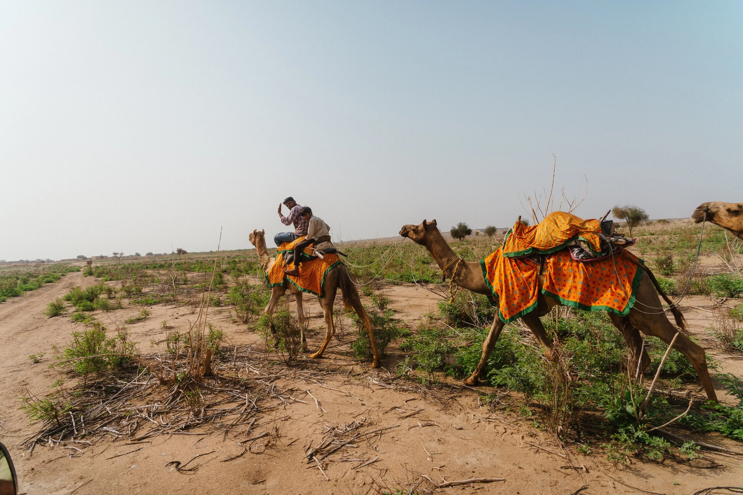 Rajasthan-260809-04121.jpg