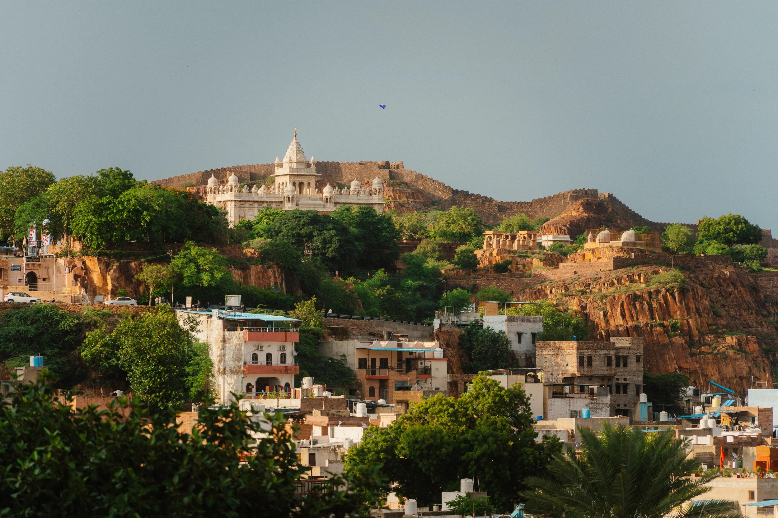 Rajasthan-260809-04171.jpg