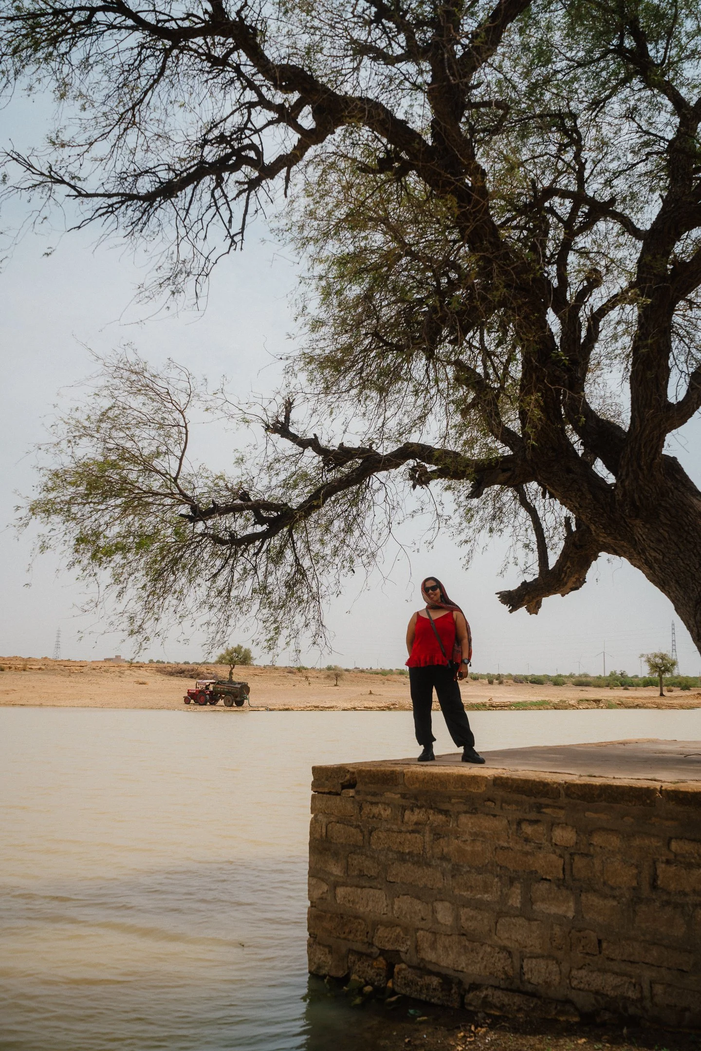 Rajasthan-260808-03149.jpg