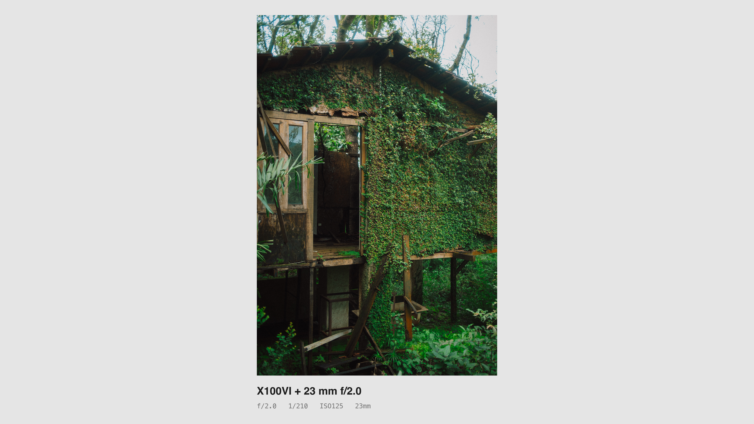 India_260830100207_9349_card.png