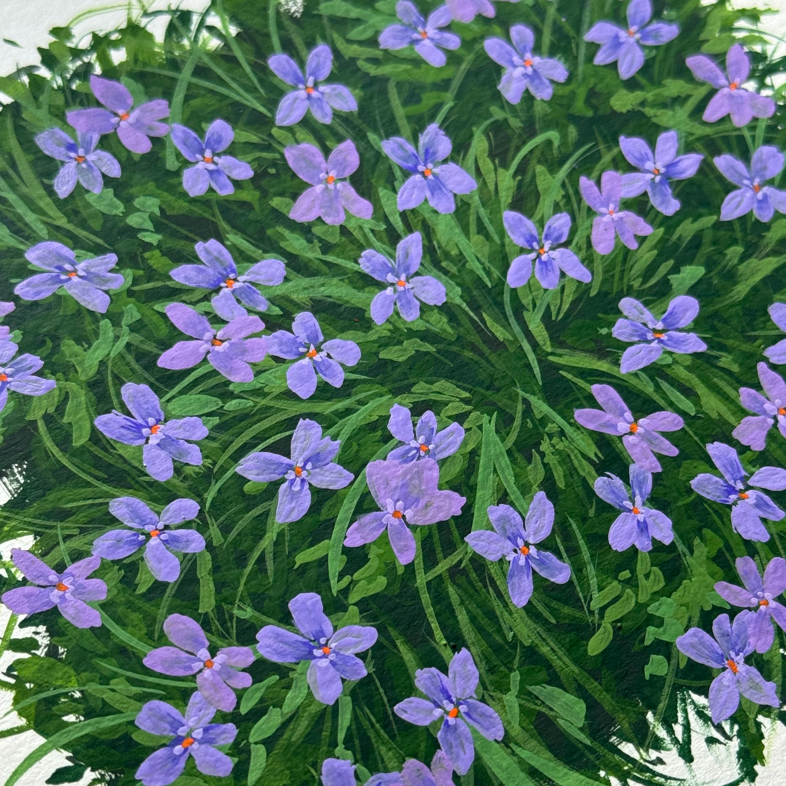 IMG_6621.png