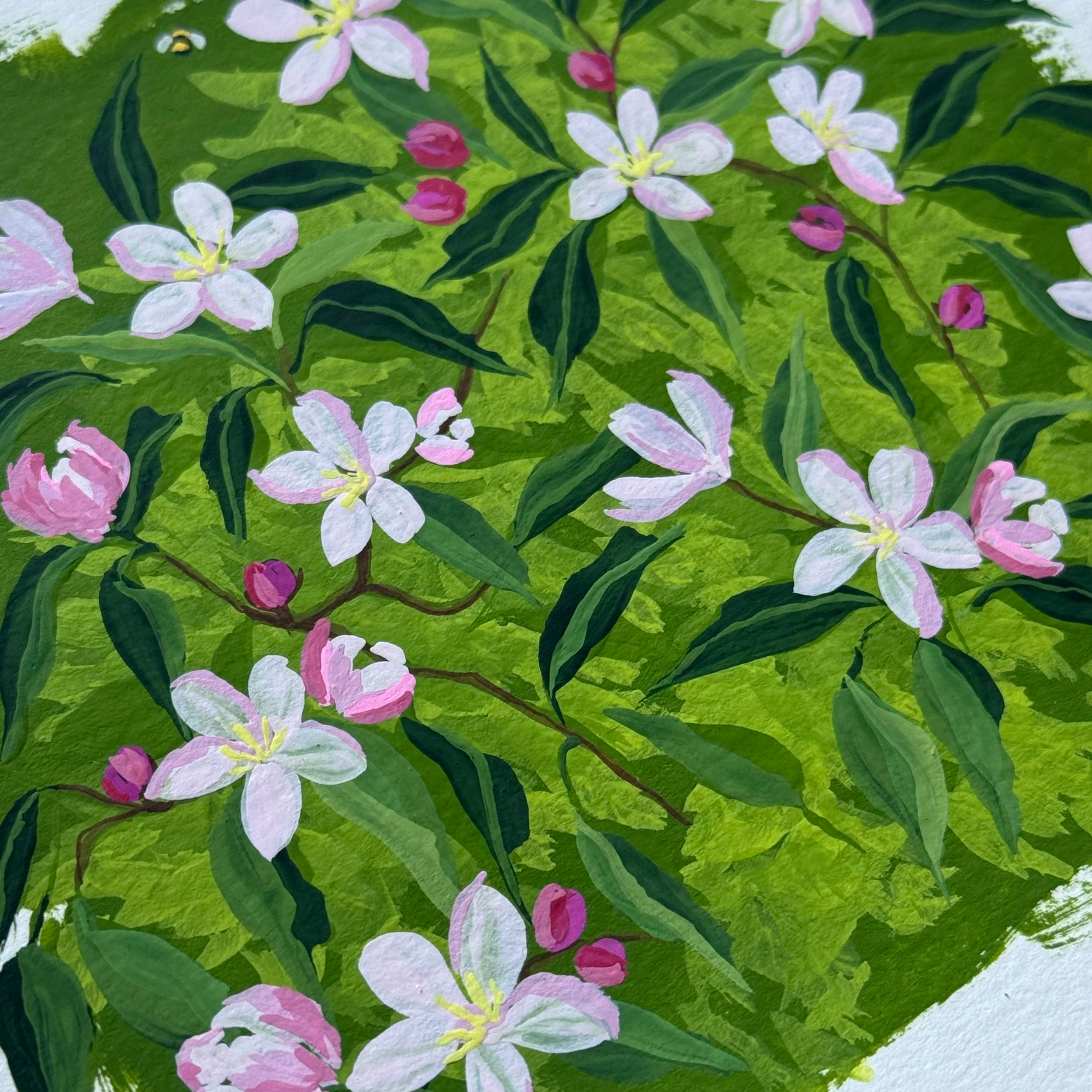 IMG_7191+3.png