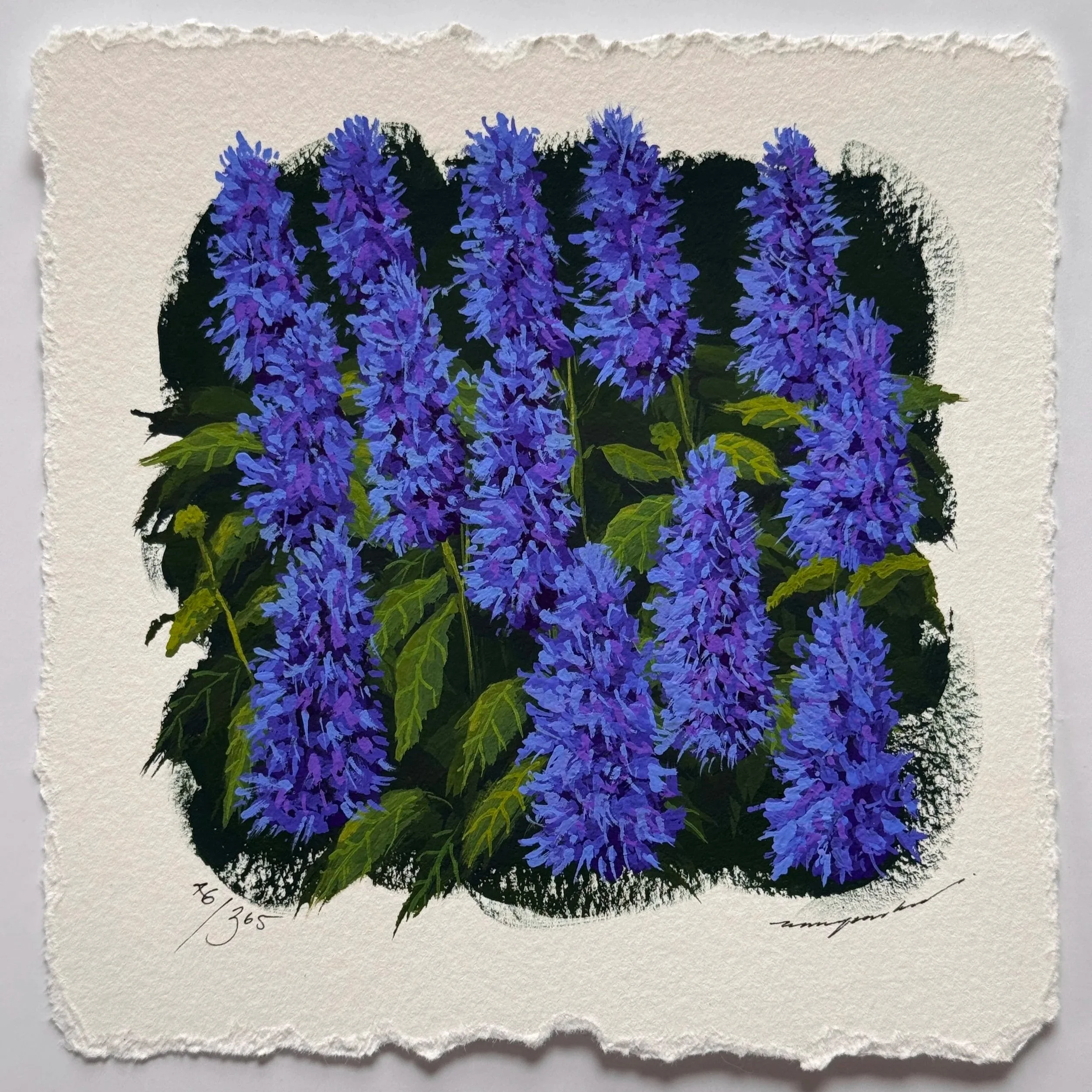 46/365 : ANISE HYSSOP + COLOUR PALETTE SWATCH