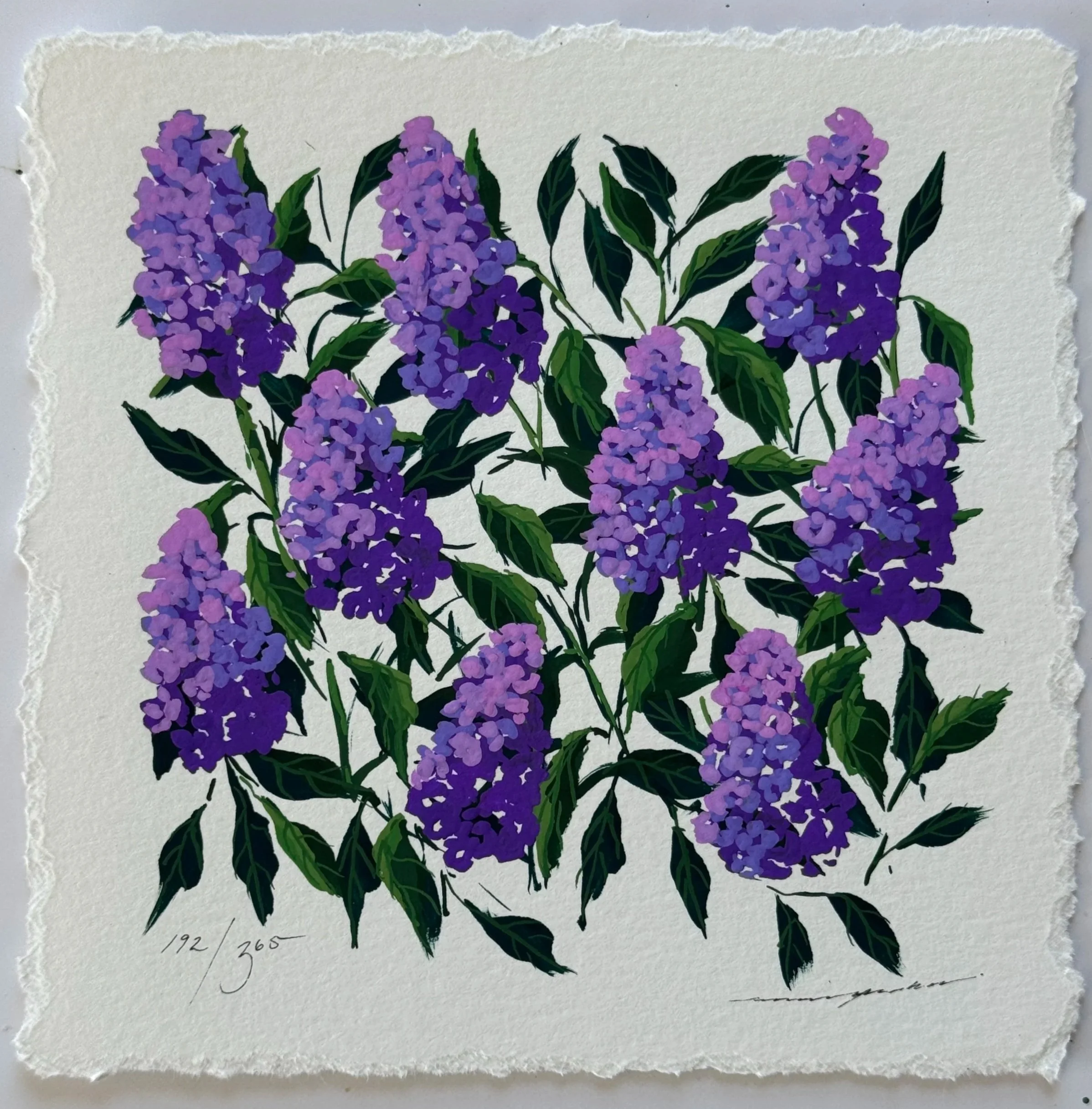 192/365 : LILAC