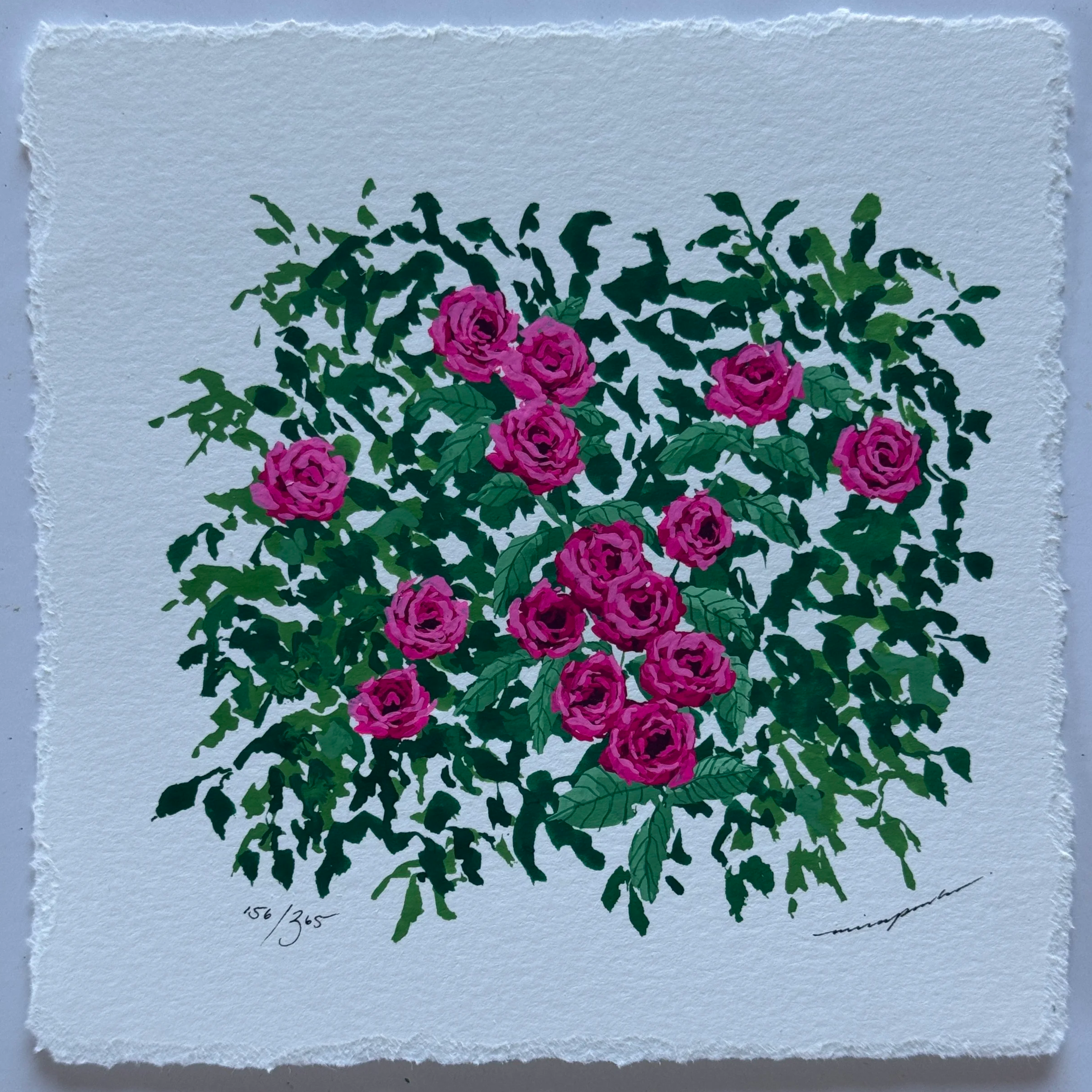 IMG_7919.png