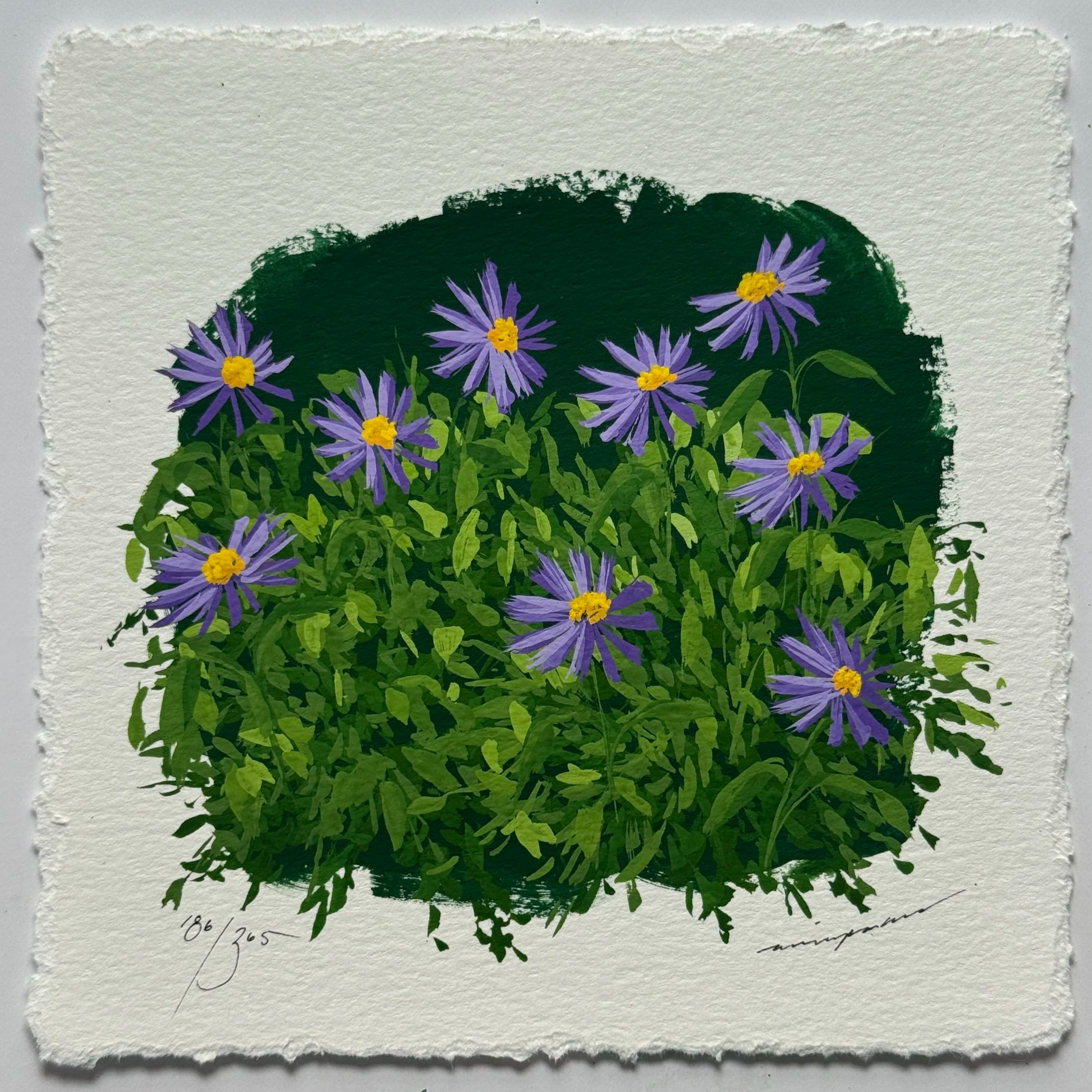 IMG_9169.png