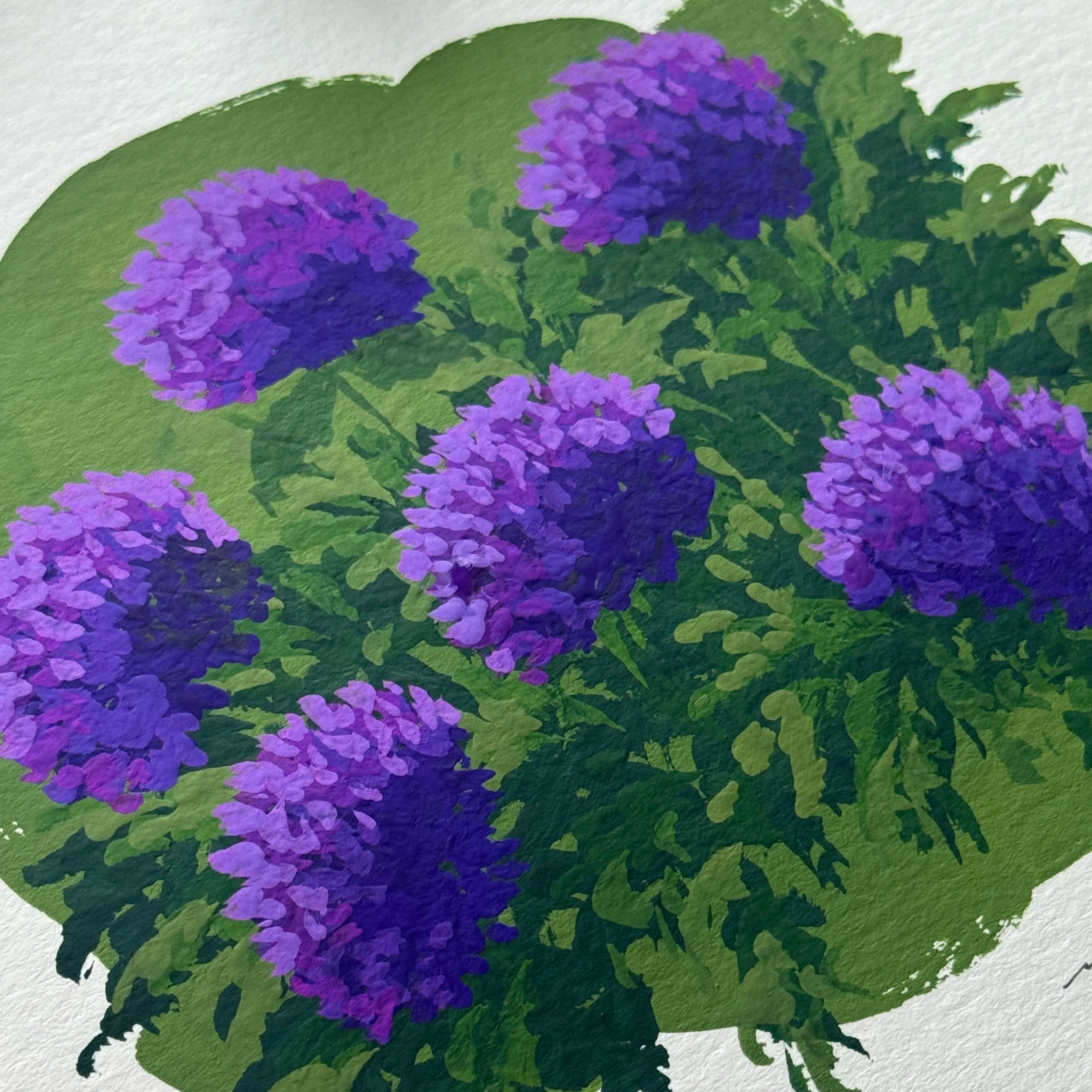 IMG_7487.png