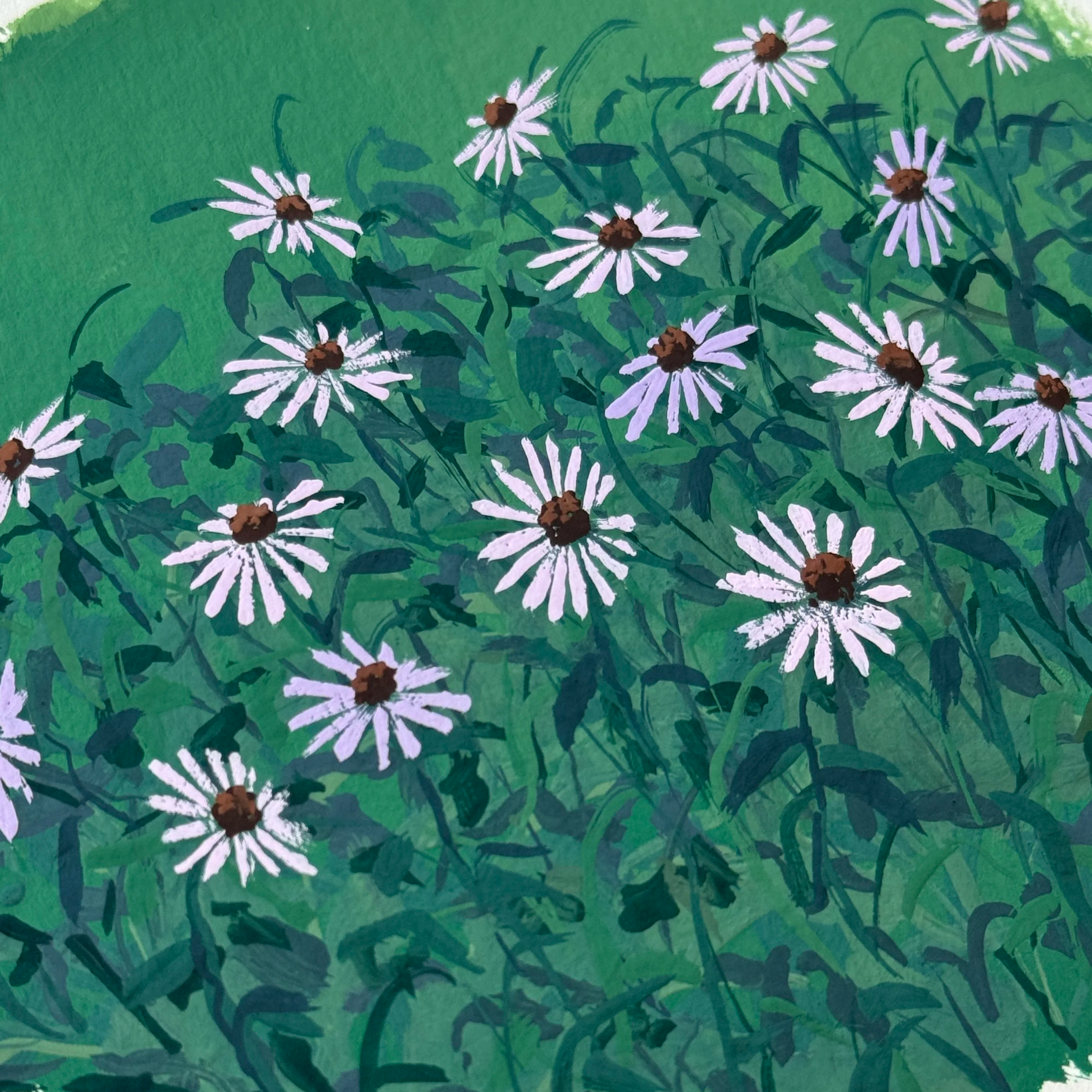 IMG_0001.png