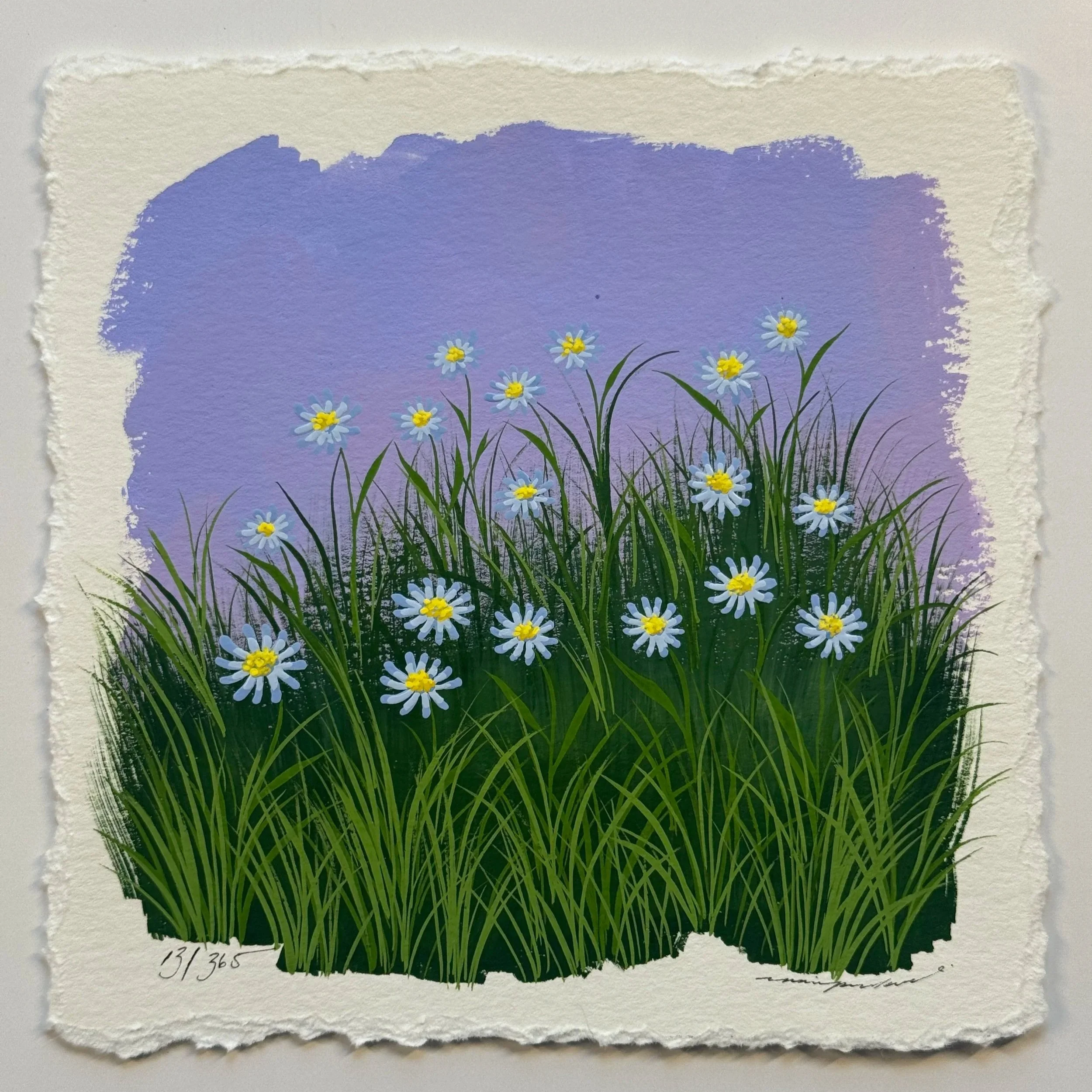 13/365 : WILDFLOWERS IN THE EARLY MORNING GRASS