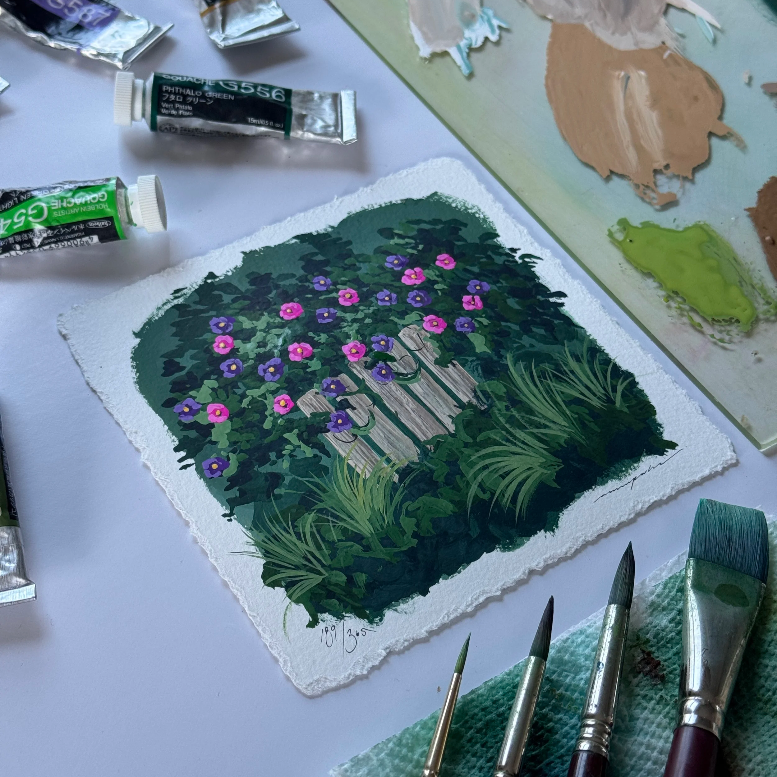 IMG_9211.png