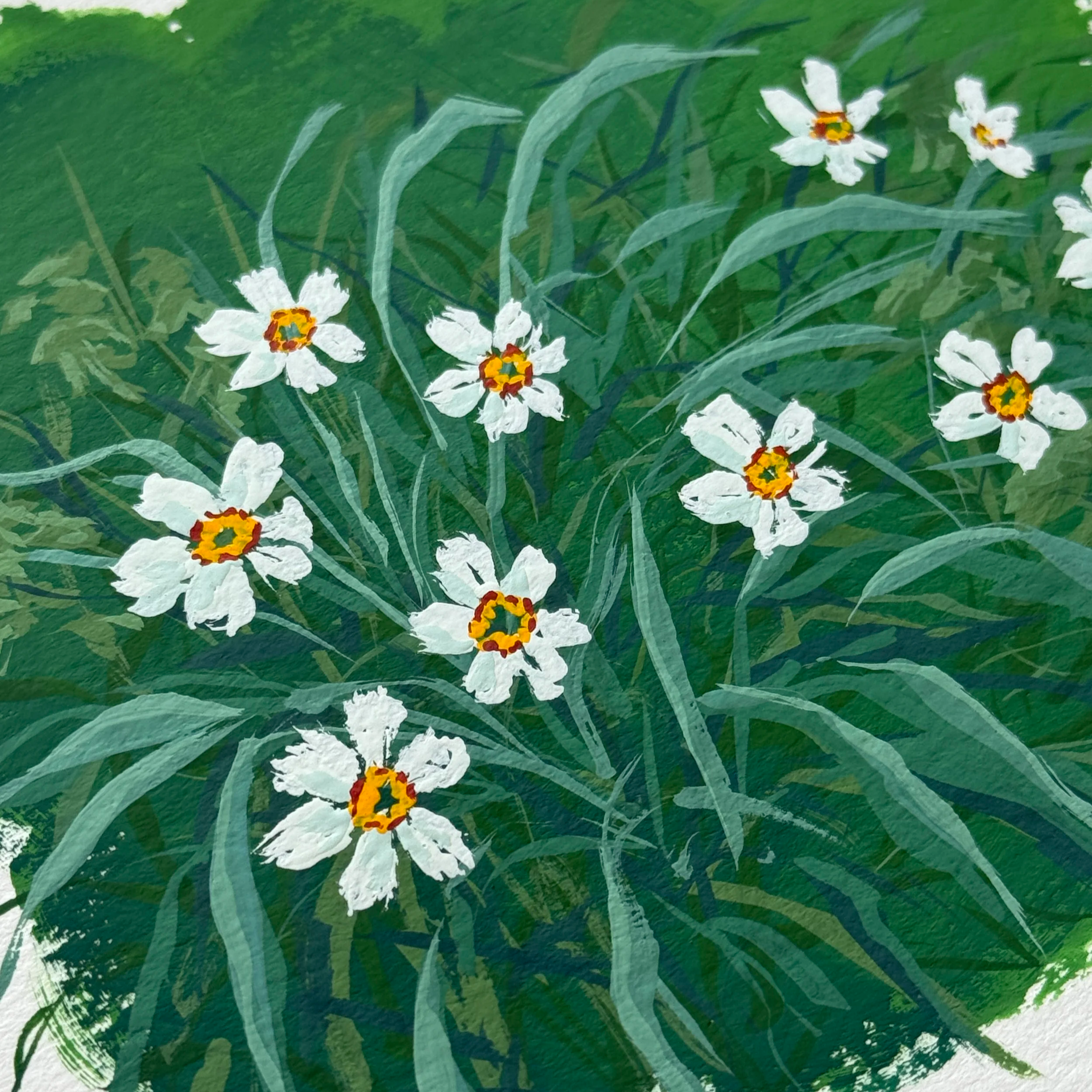 IMG_0012.png