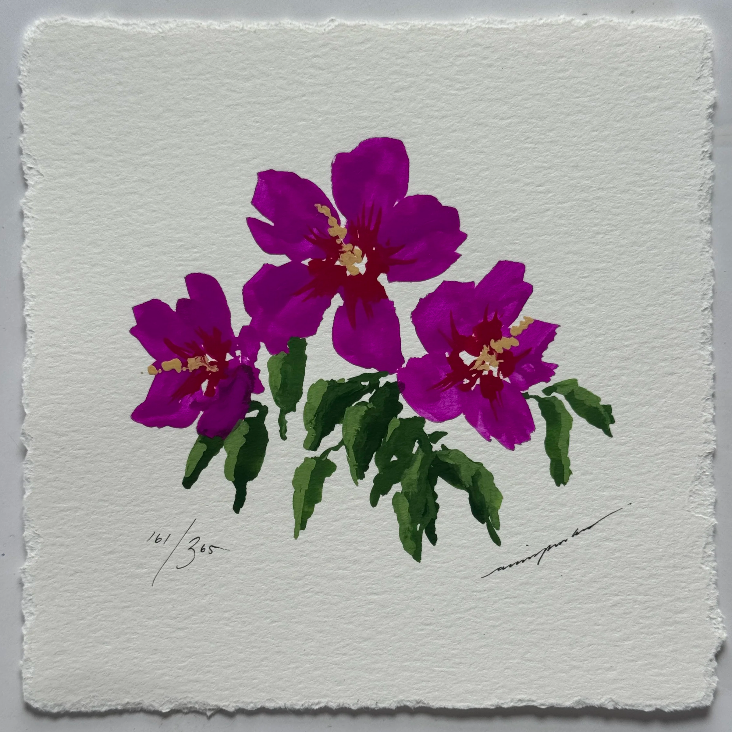 IMG_8059.png