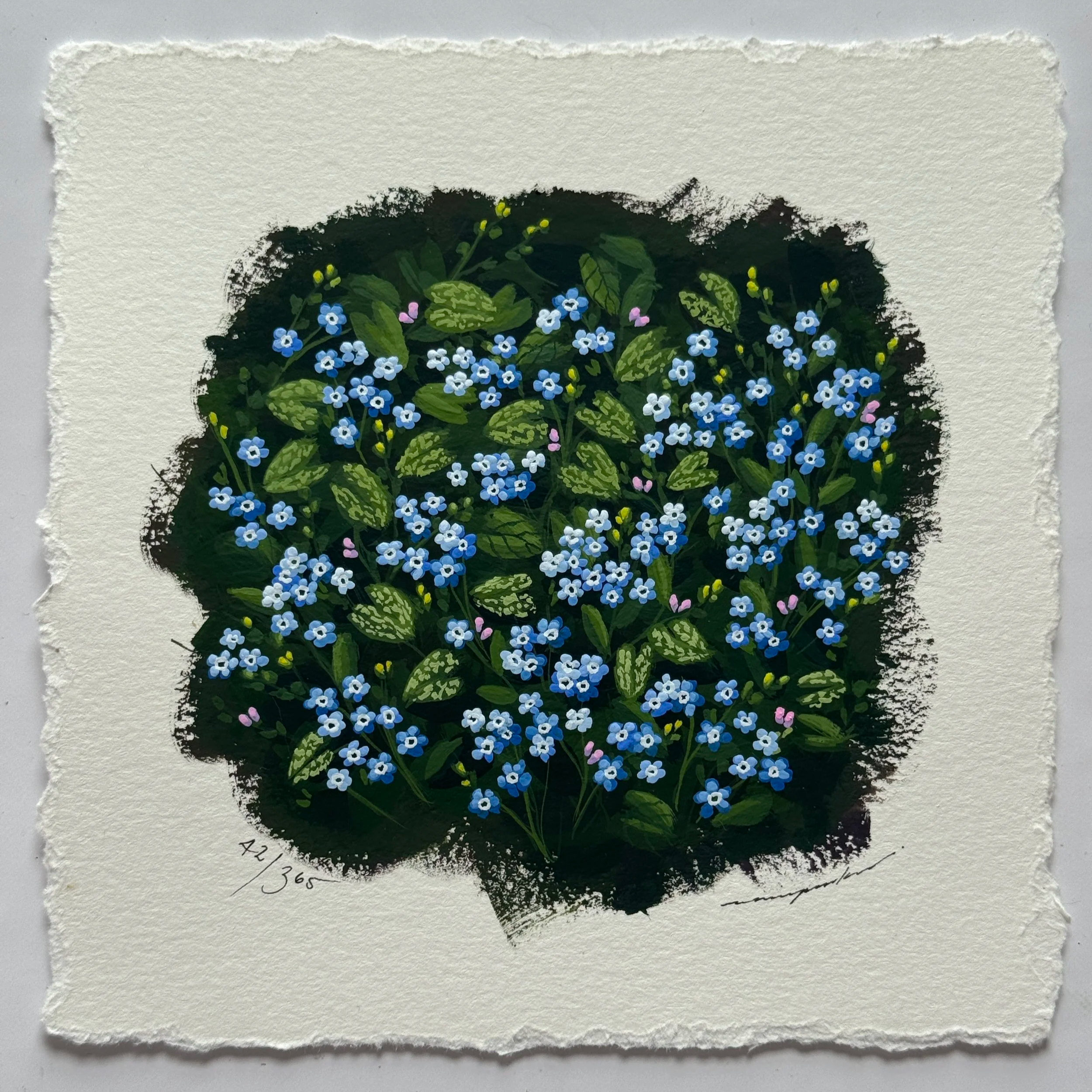 42/365 : FORGET ME NOT