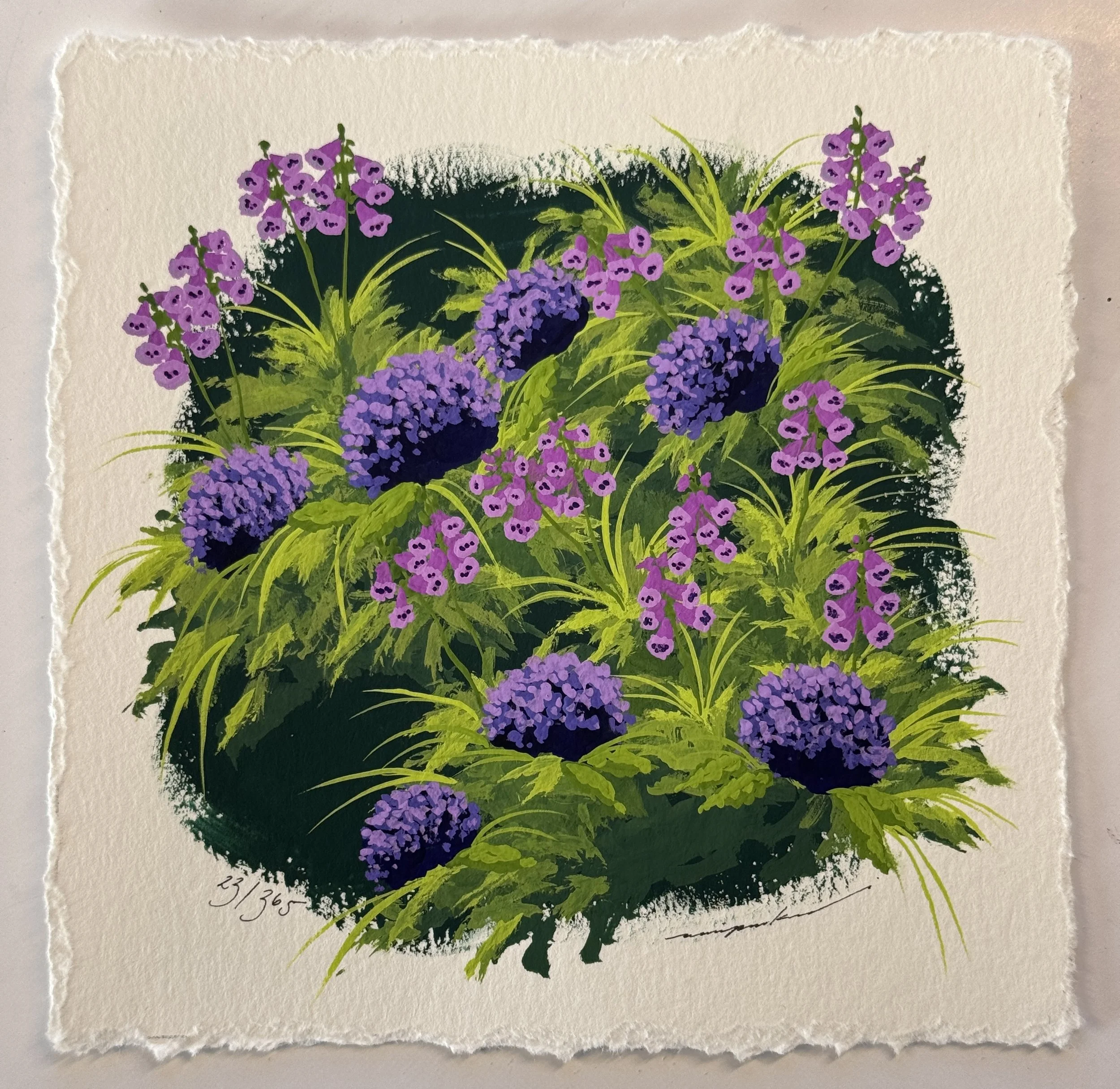 23/365 : FOXGLOVE FLOWER & HYDRANGEA