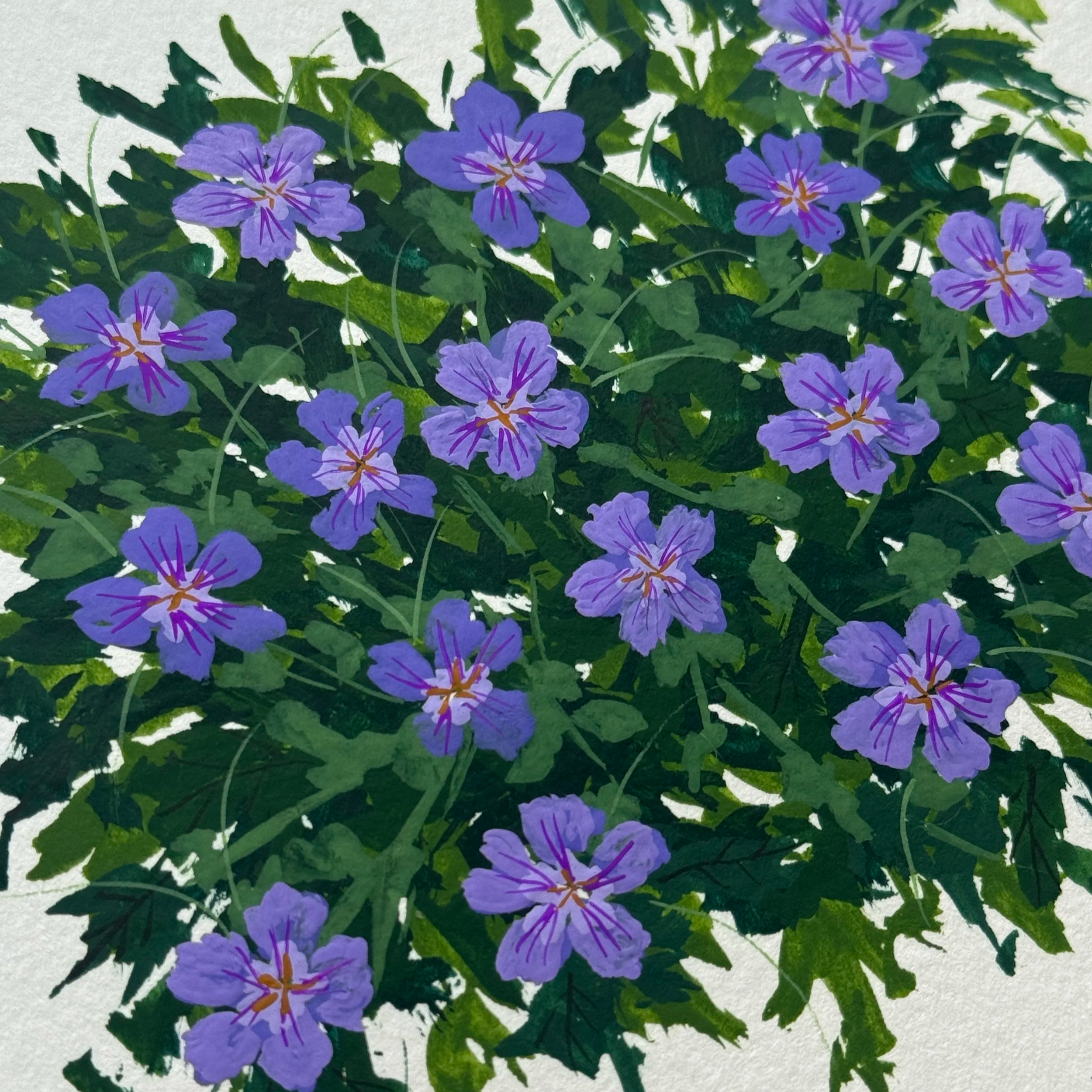 IMG_8082.png