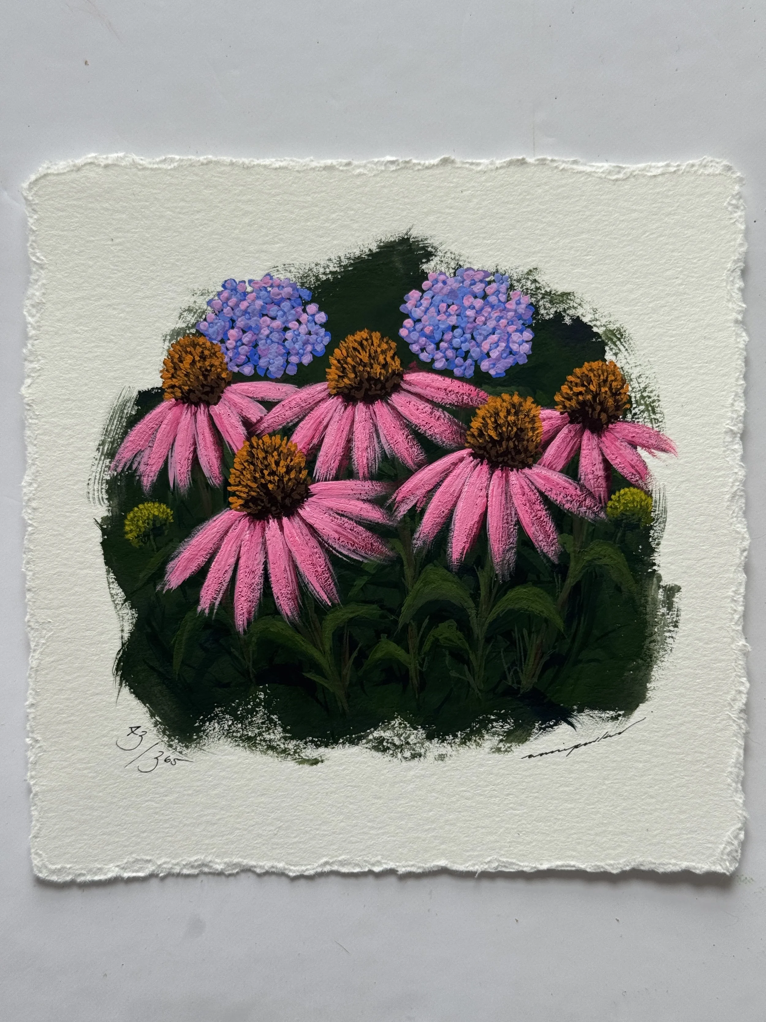 43/365 : ECHINACEA + COLOUR PALETTE SWATCH