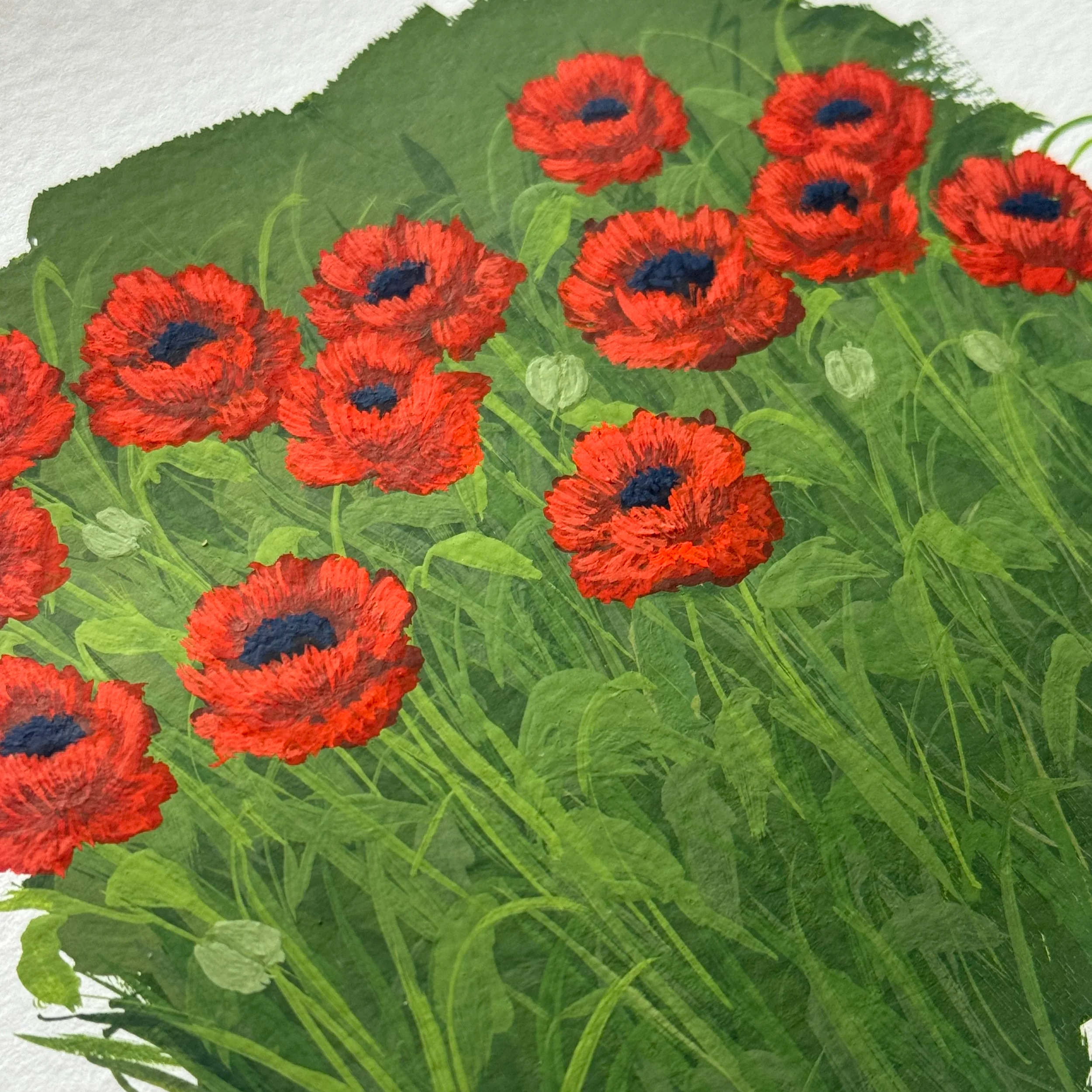 IMG_5972.png