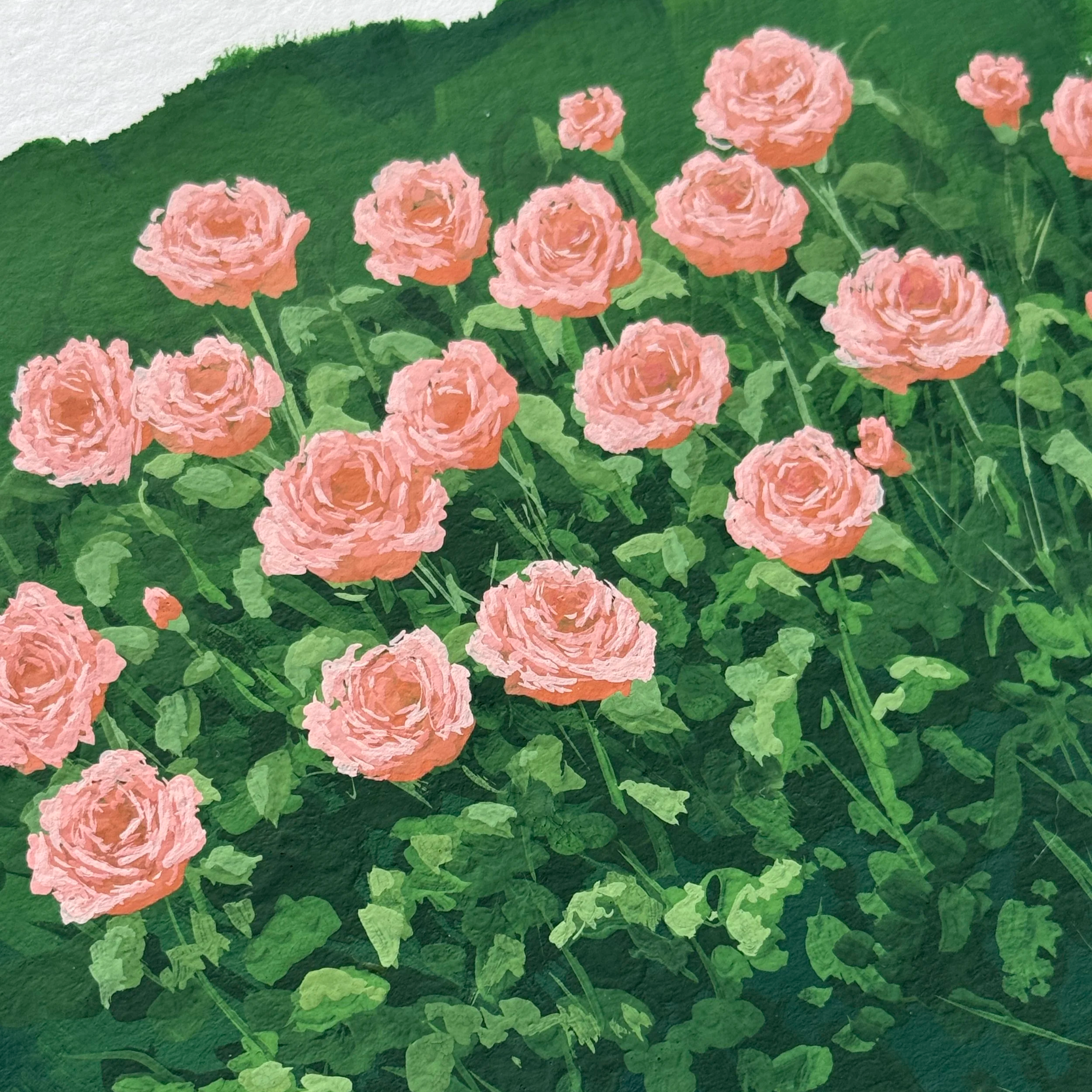 IMG_6311.png