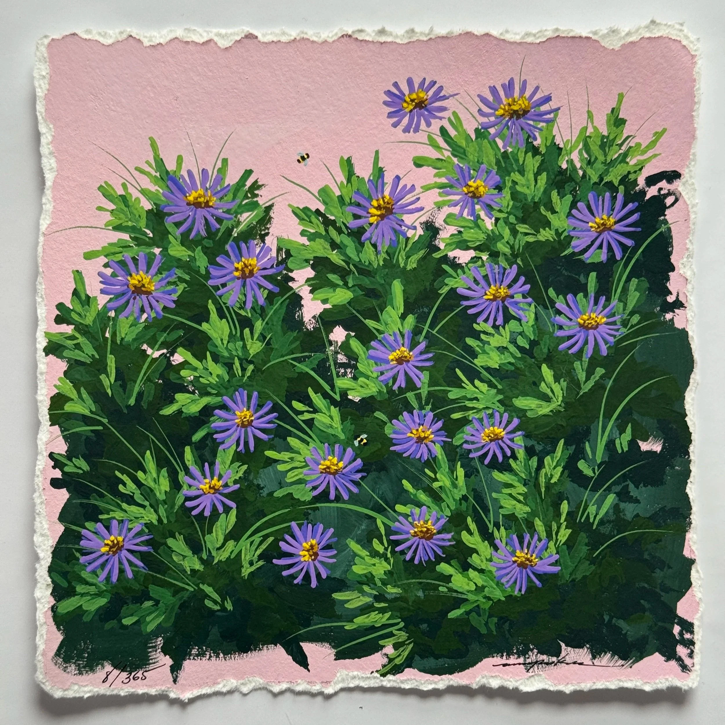 8/365 : NEW ENGLAND ASTER