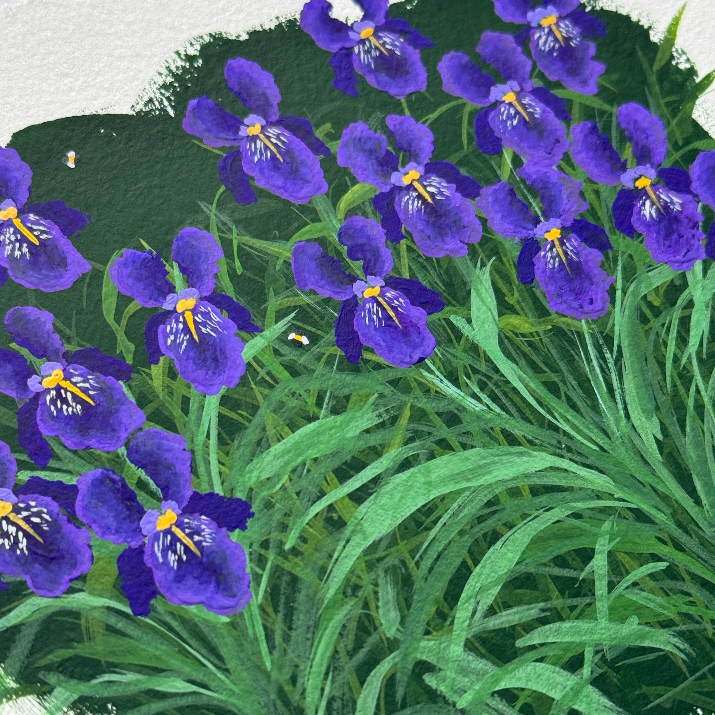 IMG_6245.png