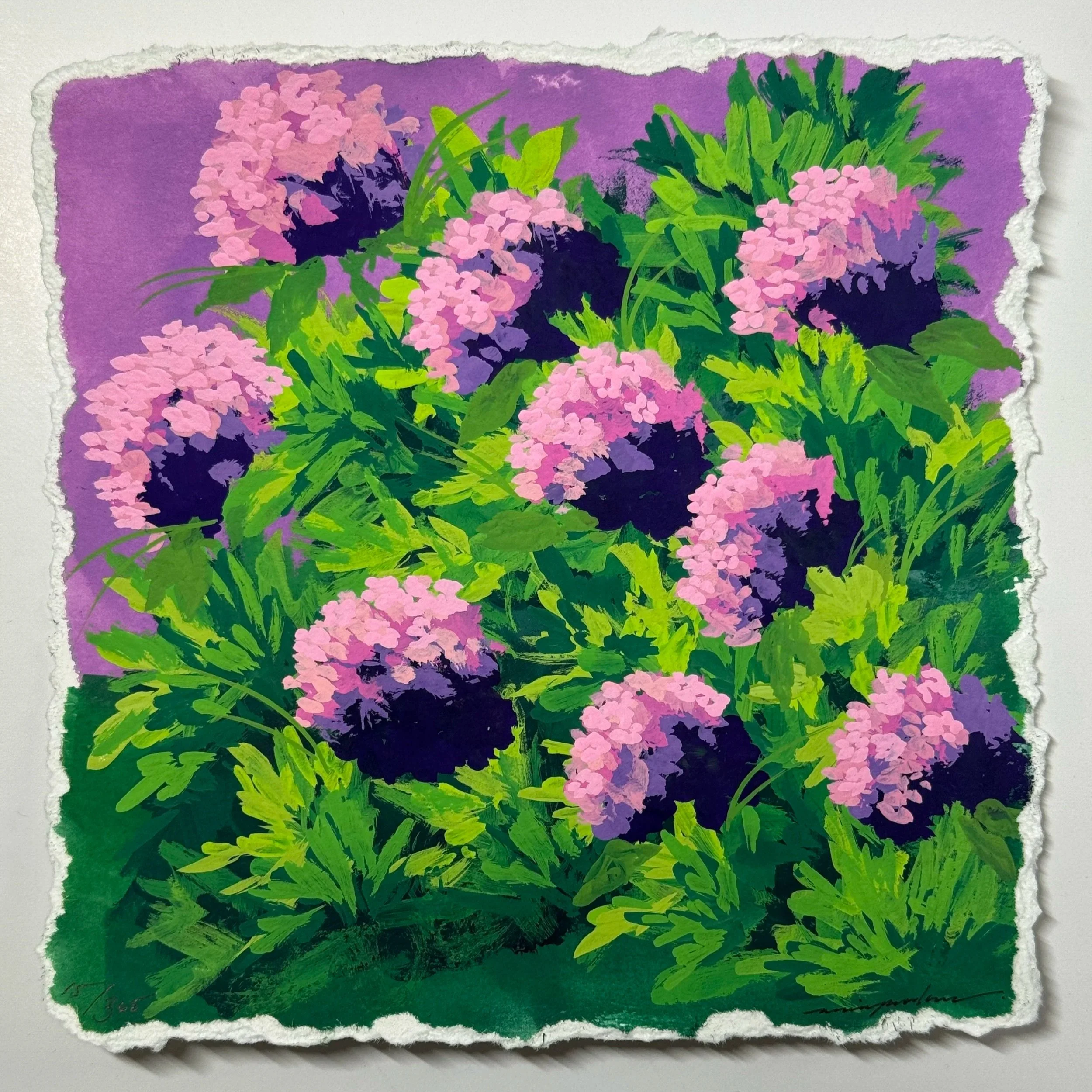 15/365 : SUNSET HYDRANGEAS