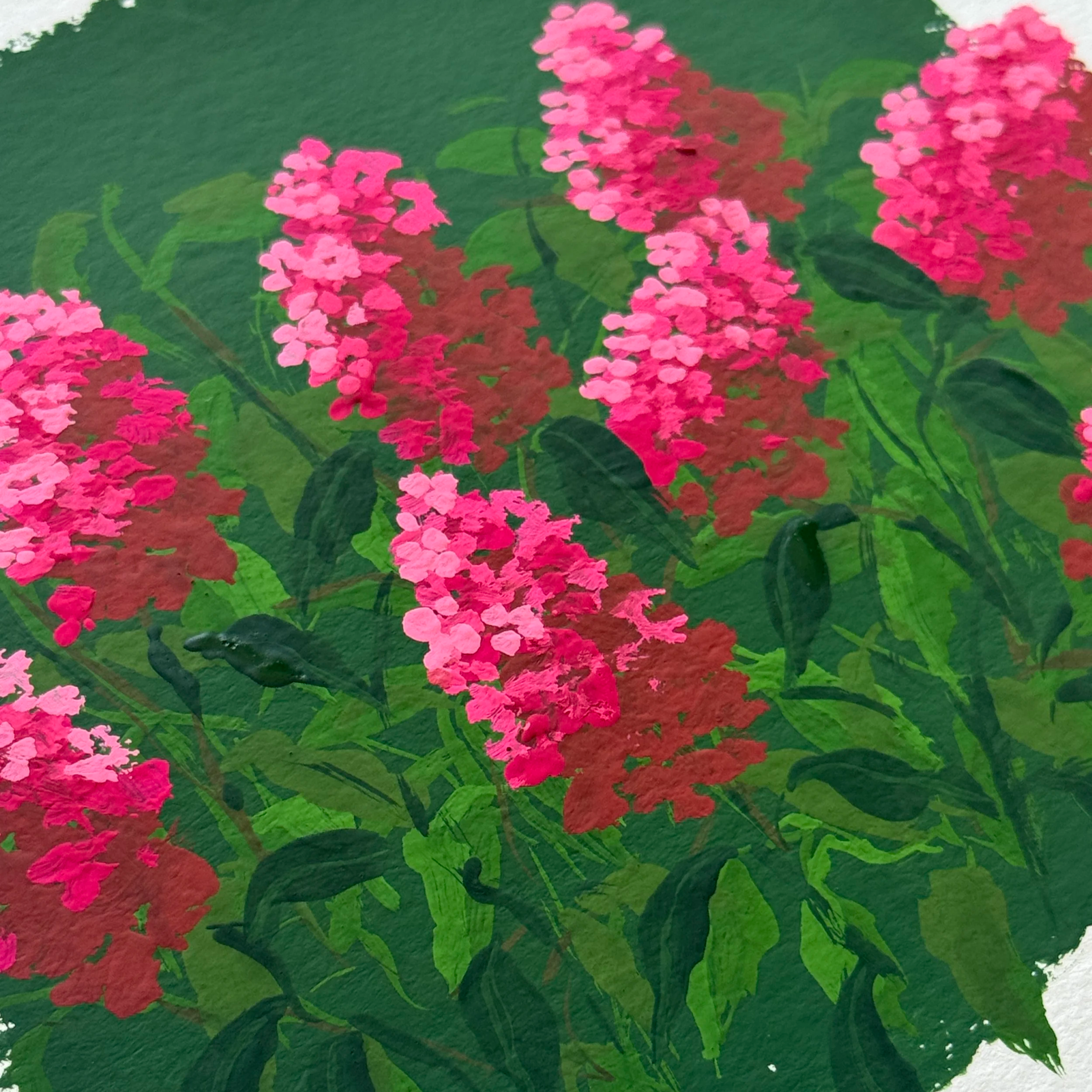 IMG_0021.png