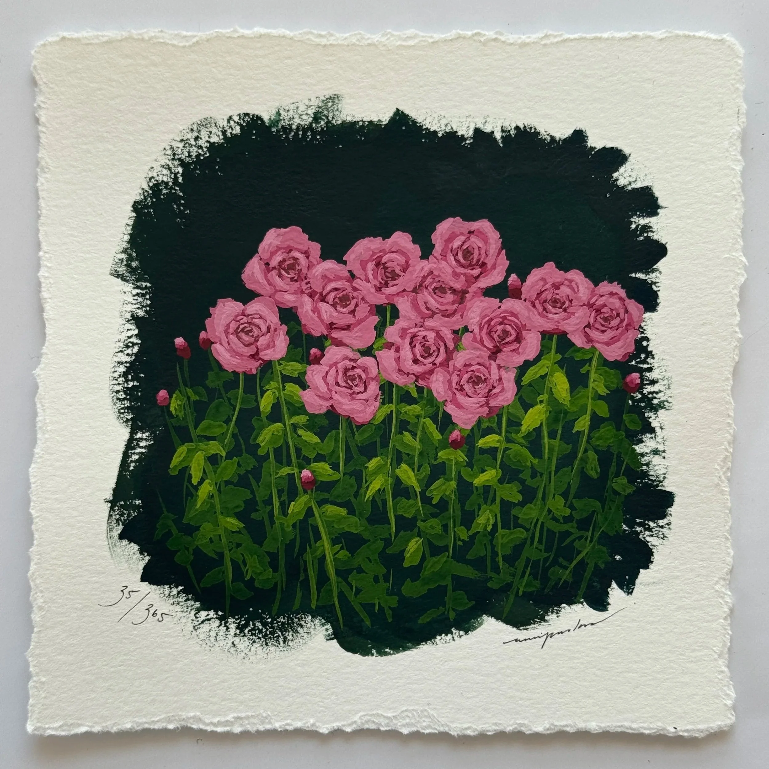 35/365 : MOODY ROSES