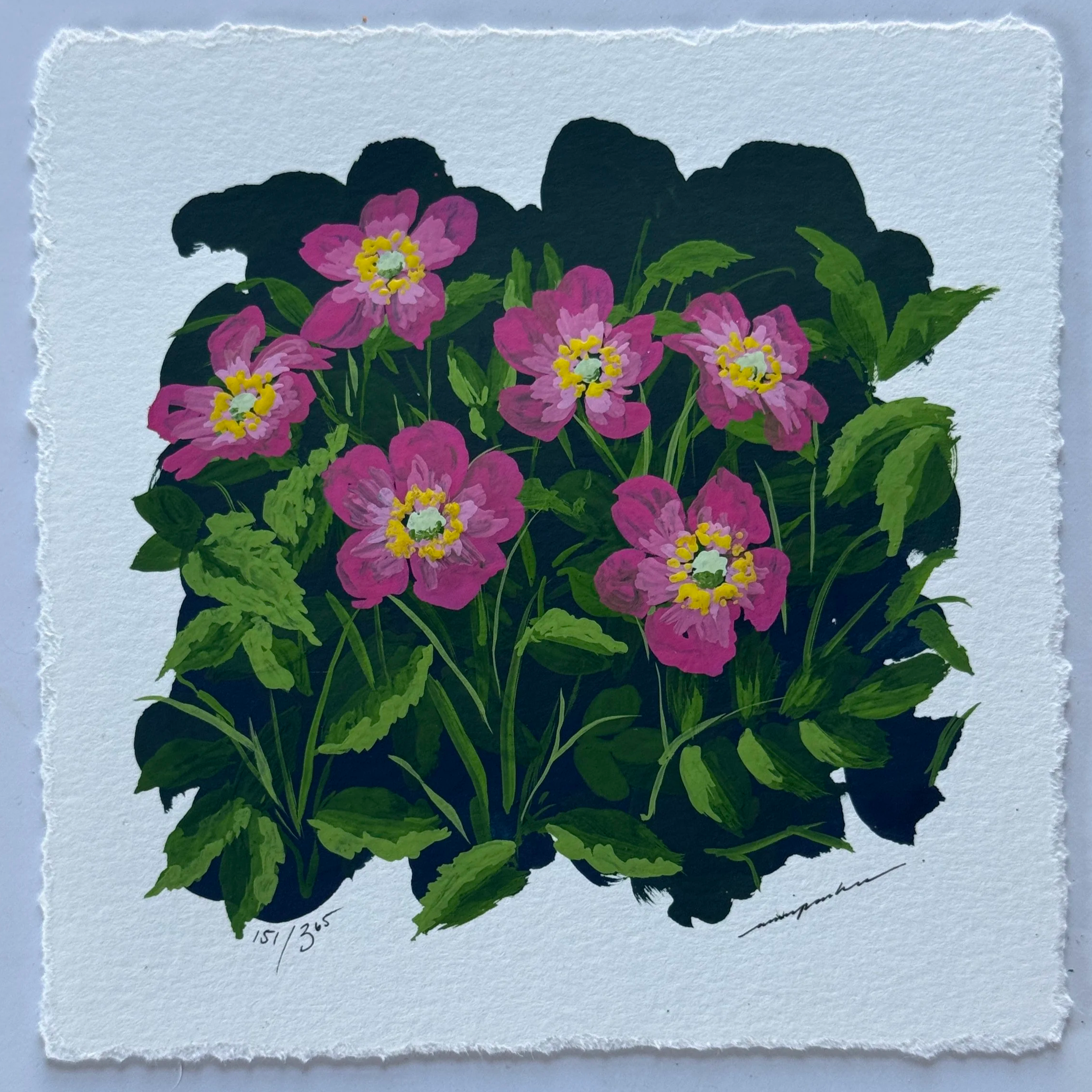 IMG_7657.png