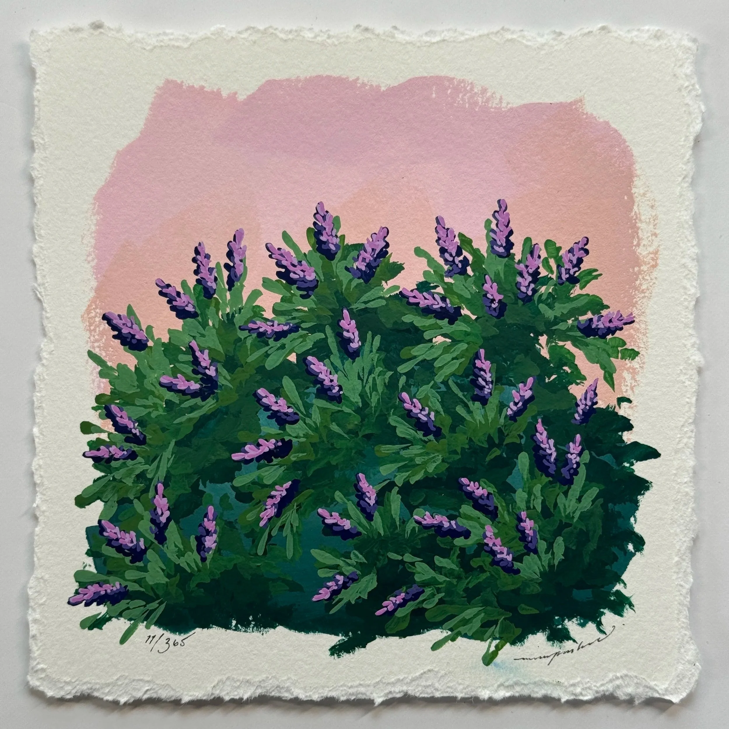 11/365 : LILACS