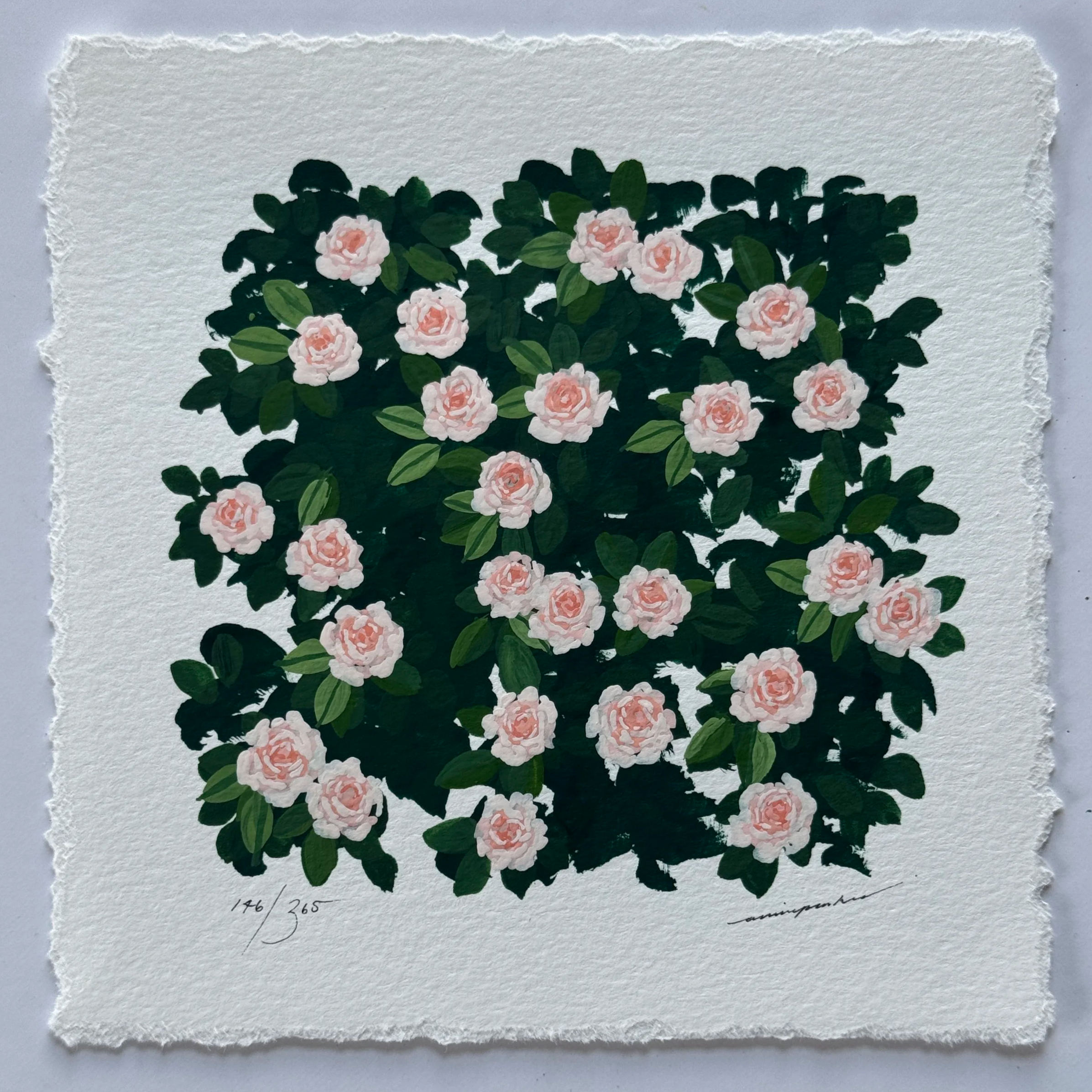 IMG_7456.png