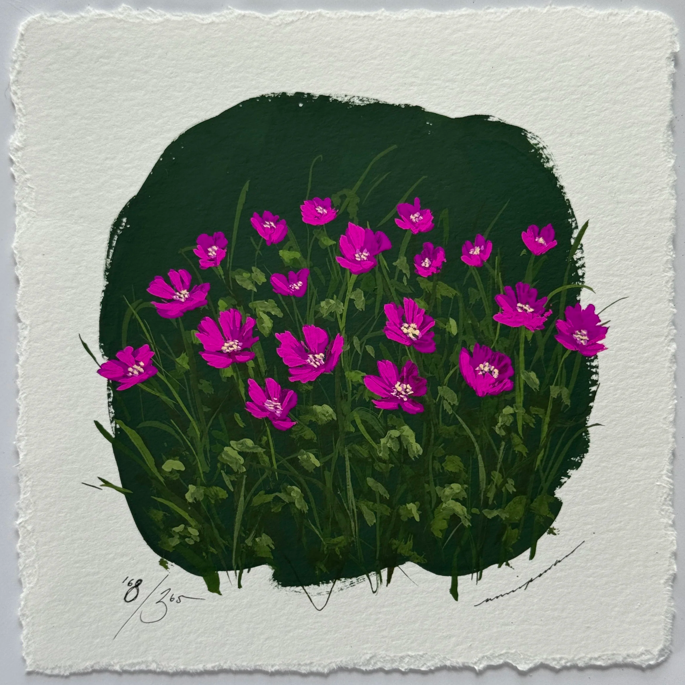 IMG_8445.png