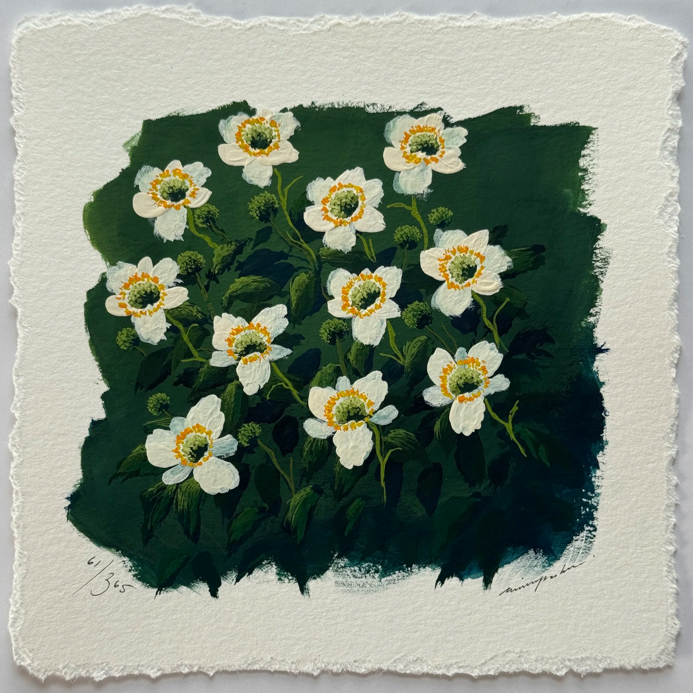 61/365 : JAPANESE WINDFLOWER