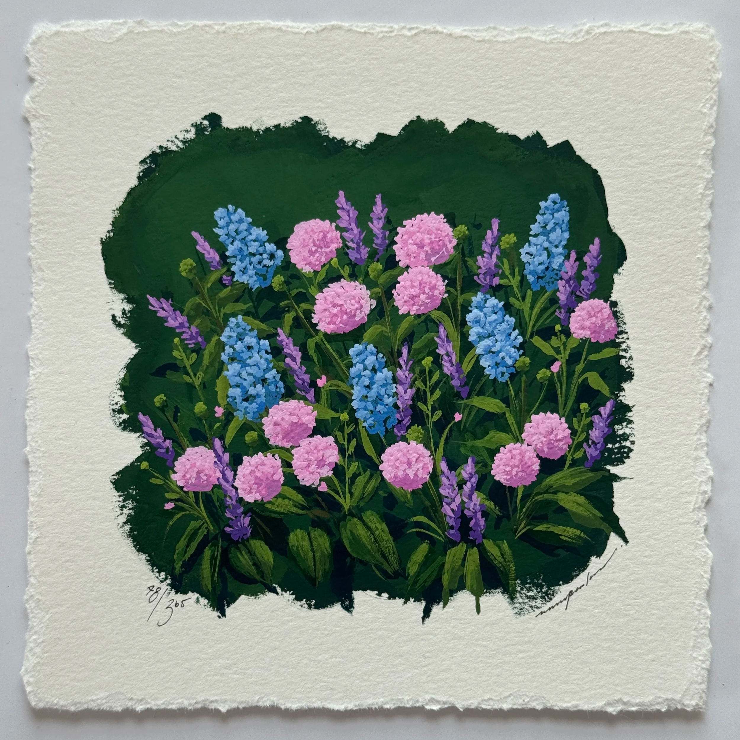 48/365 : WILDFLOWERS