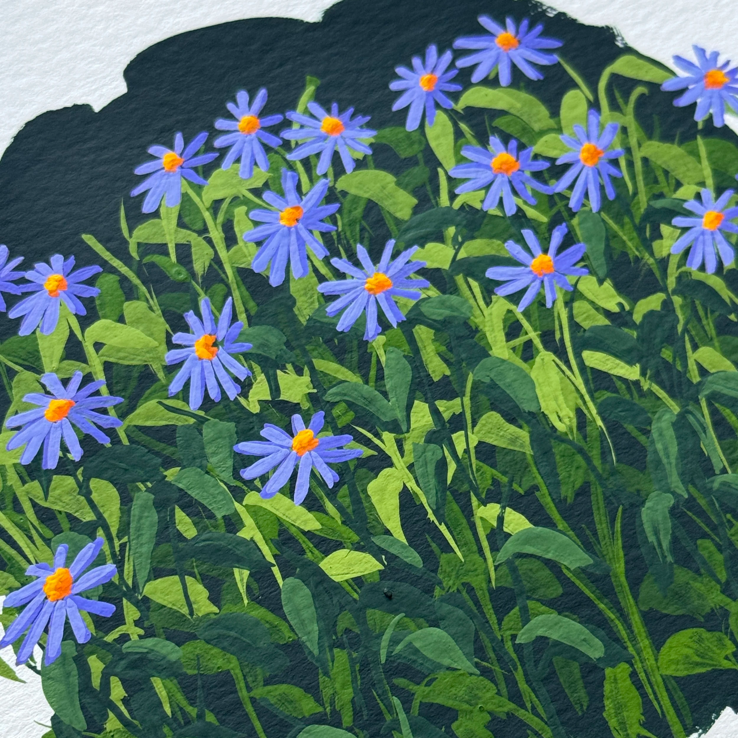 IMG_7495.png