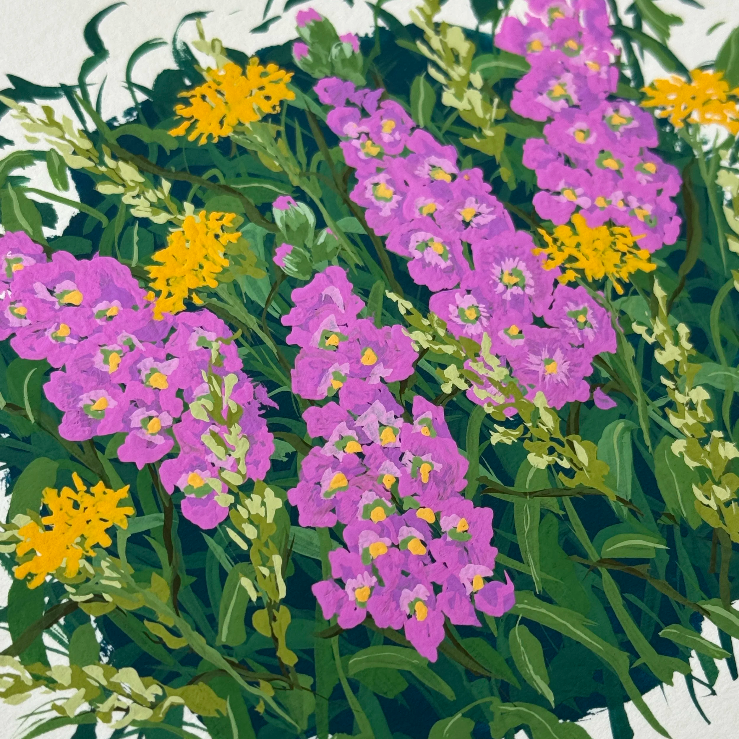 IMG_0321.png