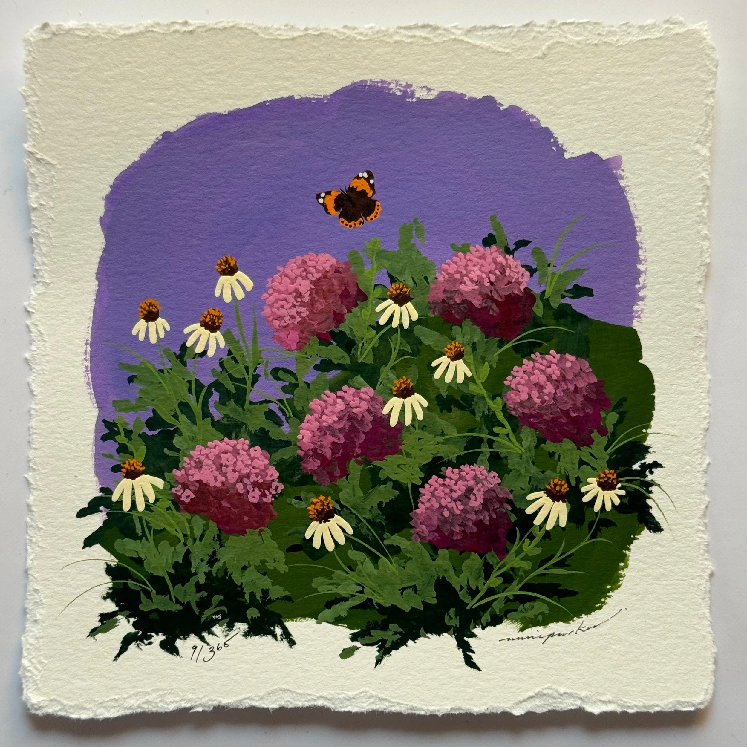 9/365 : PINK HYDRANGEAS