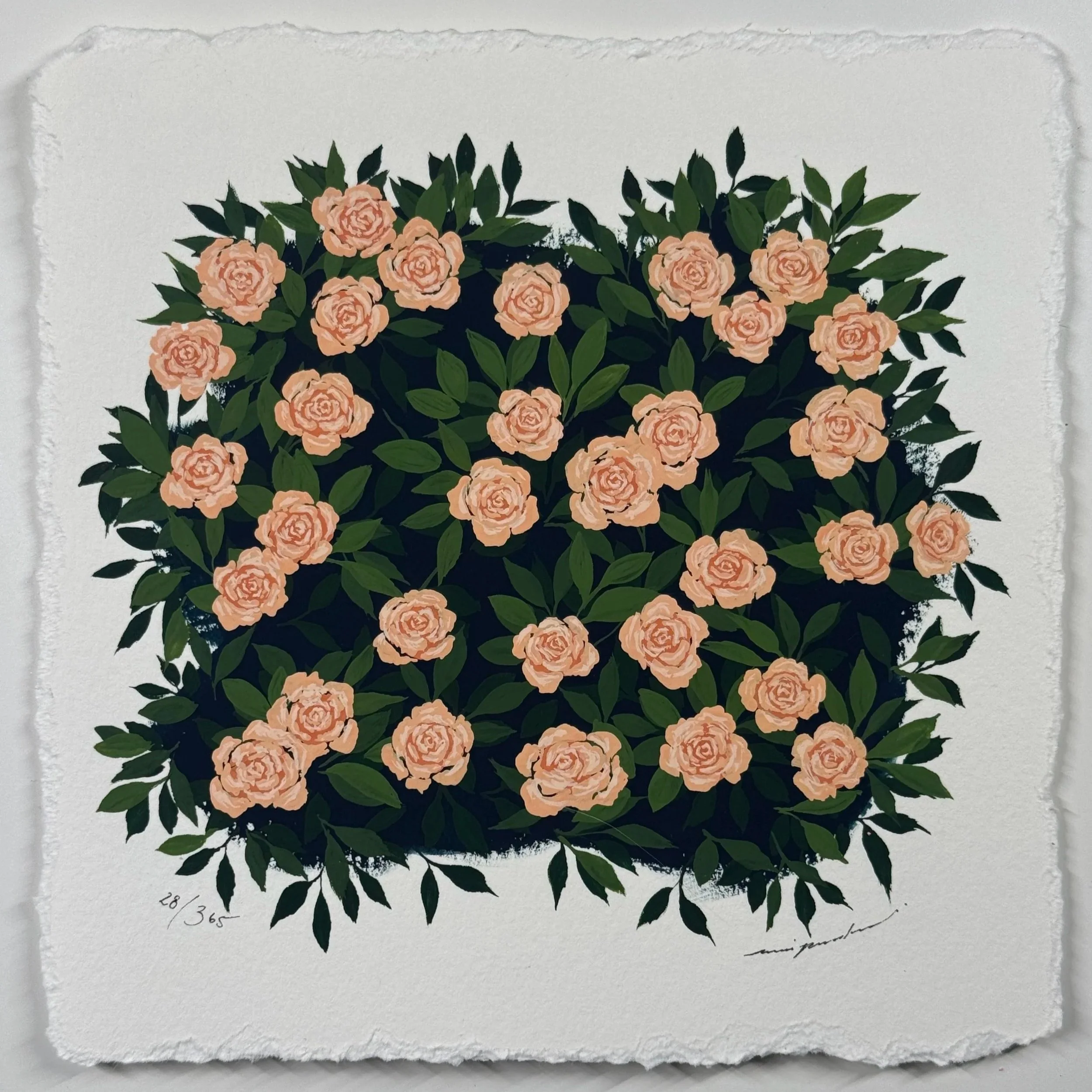 28/365 : GENTLE ROSES