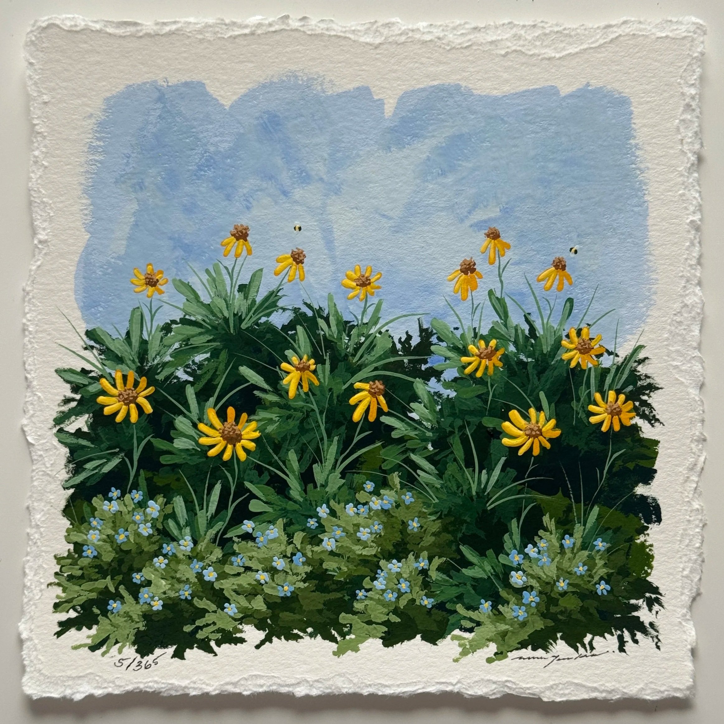 5/365 : FALSE SUNFLOWER (HELIOPSIS) & FORGET ME NOT