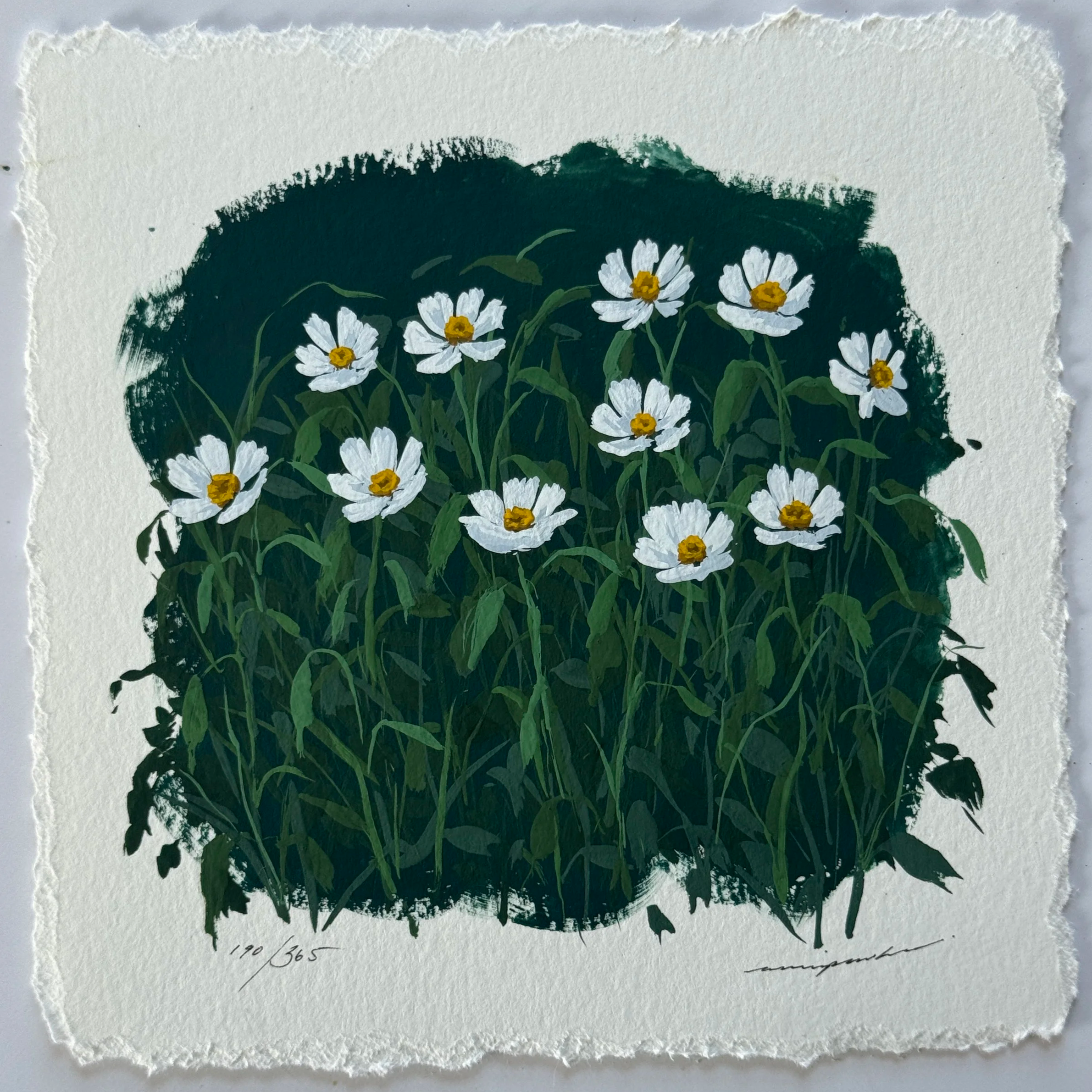 190/365 : COSMOS