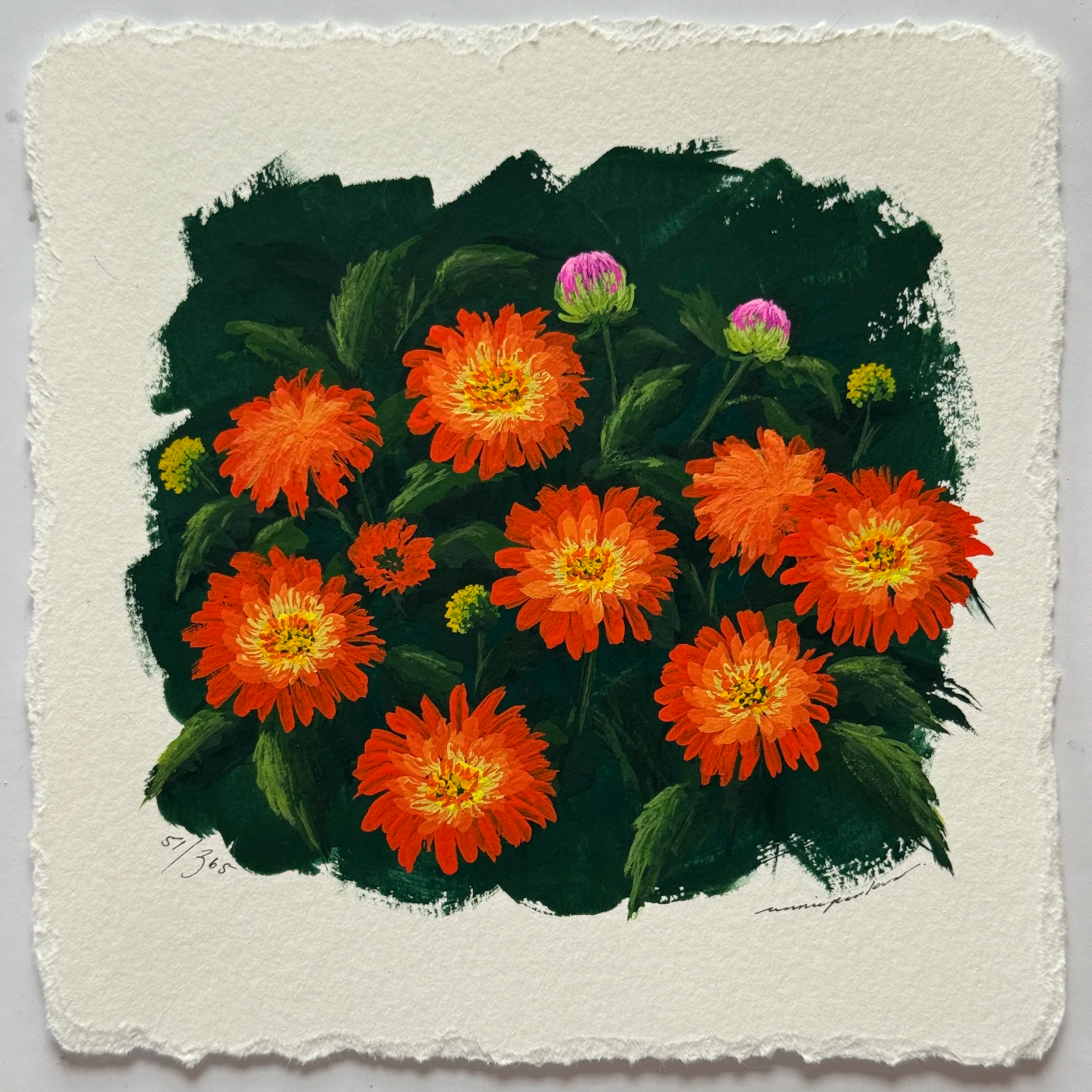 51/365 : GARDEN DAHLIAS