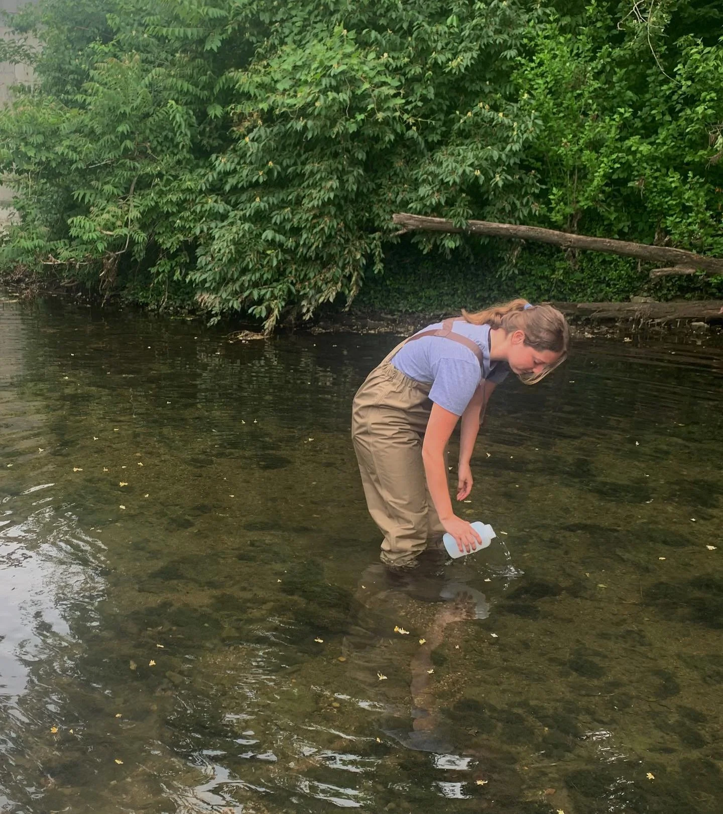 Similar to the picture above, MesoLab researcher Kyra Sigler often has field days to collect samples. Her research requires taking samples from both the water and sediment to decipher more about PFAS. Repeating this both upstream and downstream of wa
