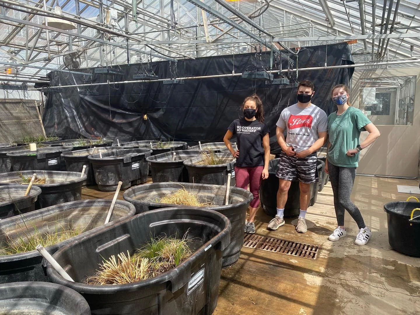 Prepping the #mesolab for a new field season! @ukbiosystems  How do antibiotics impact #wetland nutrient processes?? @nifa_usda funded @bartelthunt