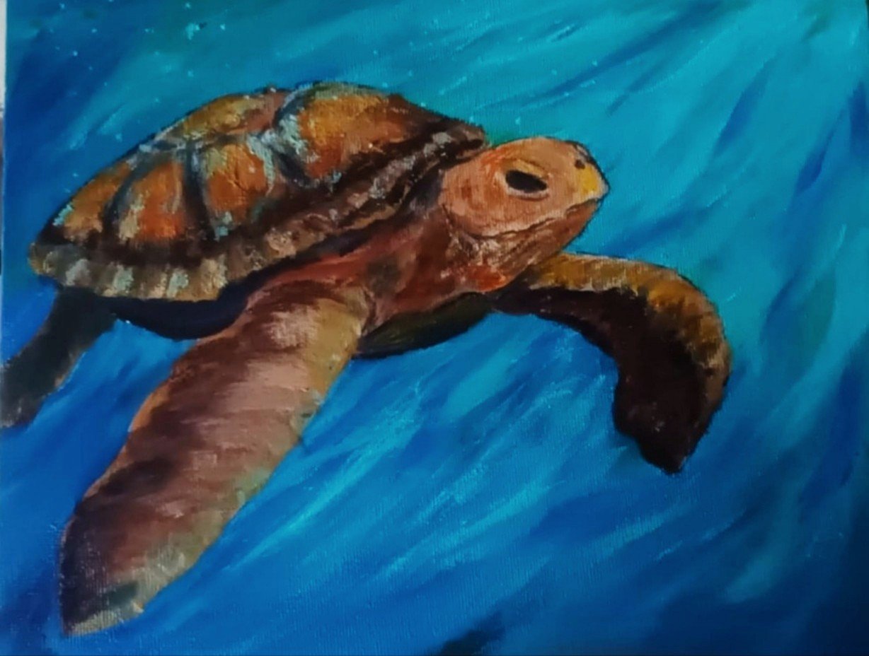 "Ted Turtle" by Charlotte Greenwell