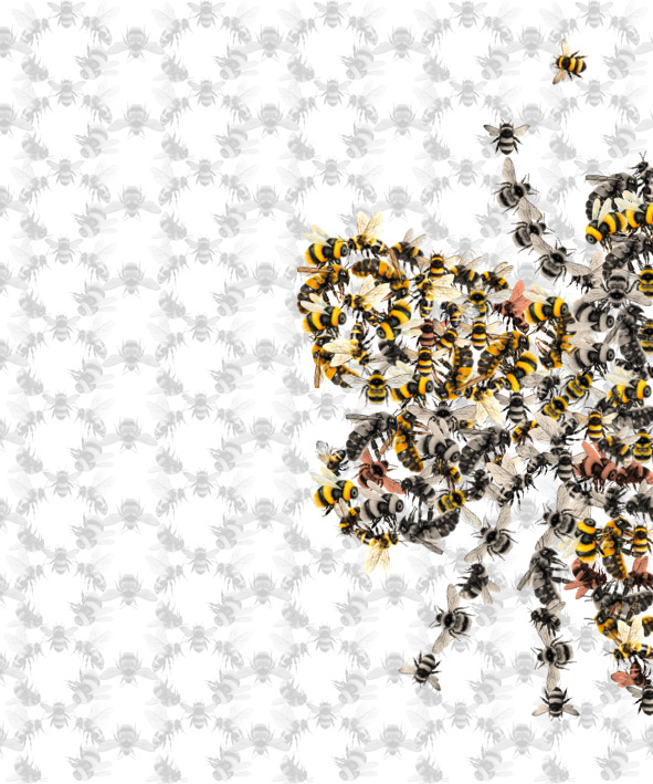 "Bee of Bees" by Graham in Ireland