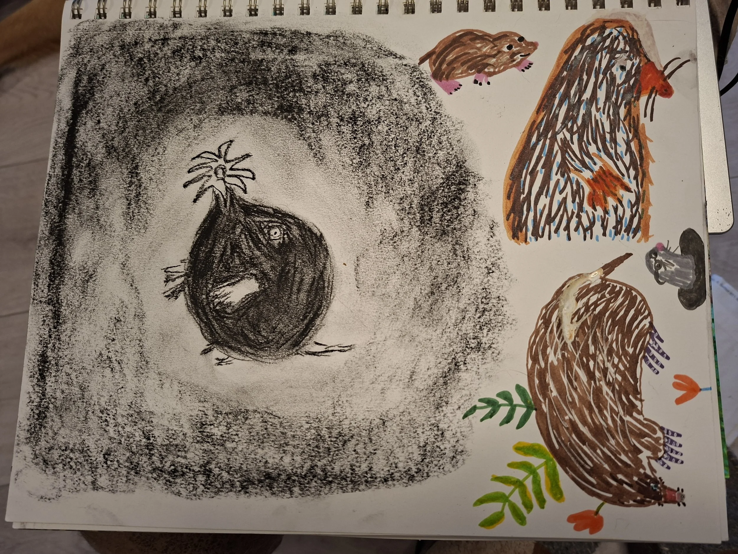 "Muchos Moles" by Sarah in Ireland