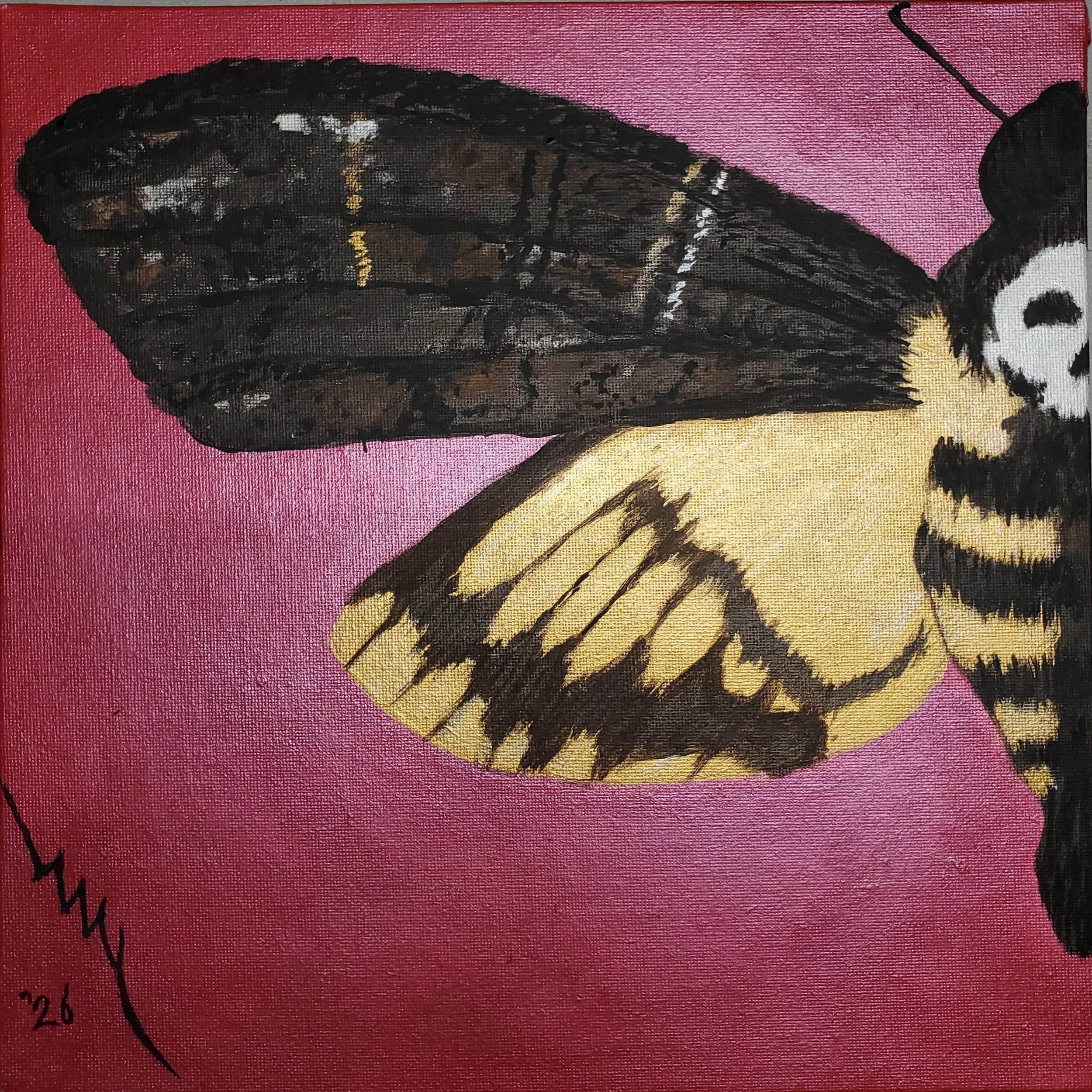 "Dead Moth" by ThatWeirdChickIzzy