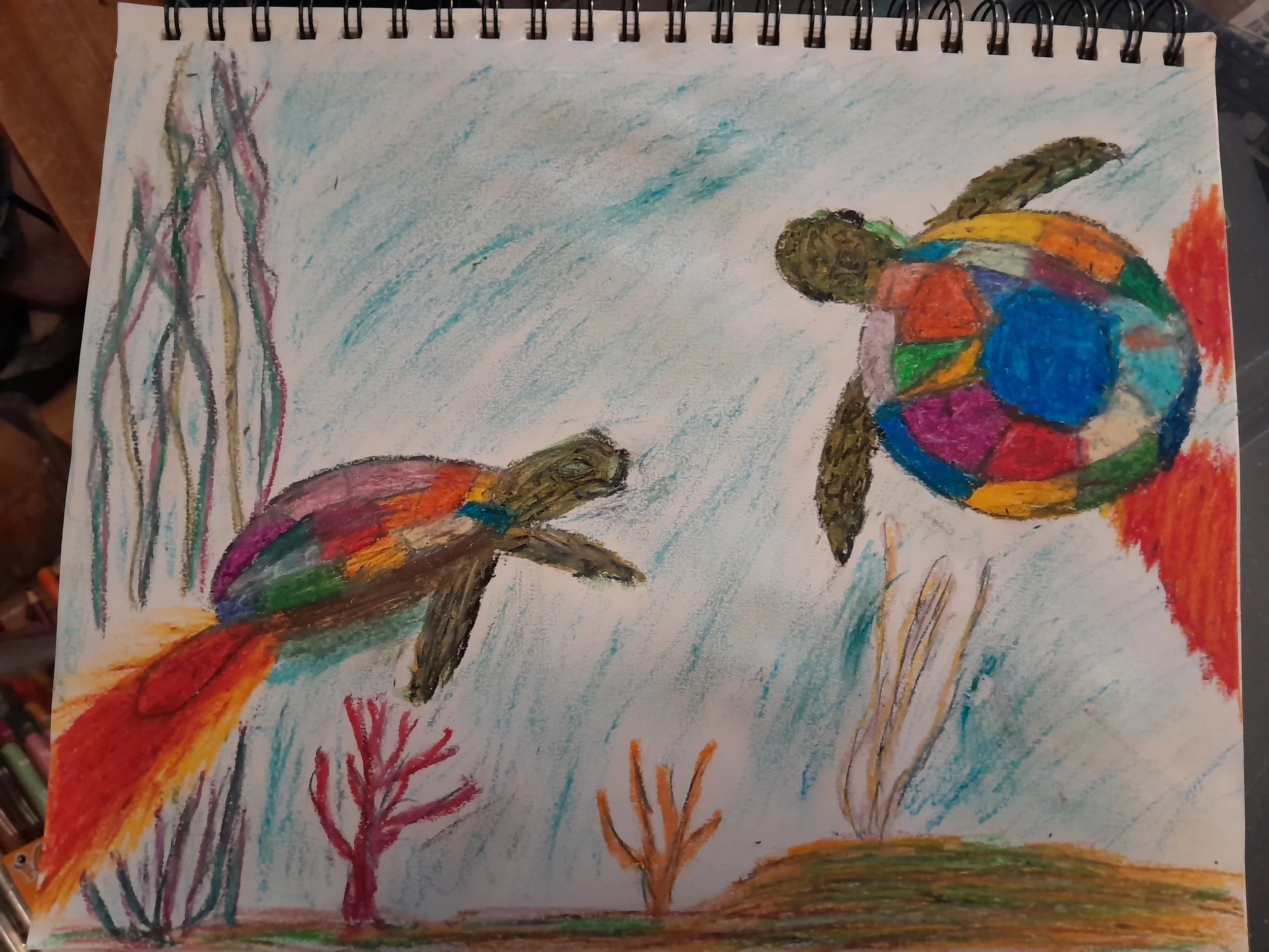 "Gamera Wants Swim Too" by Sarah in Ireland