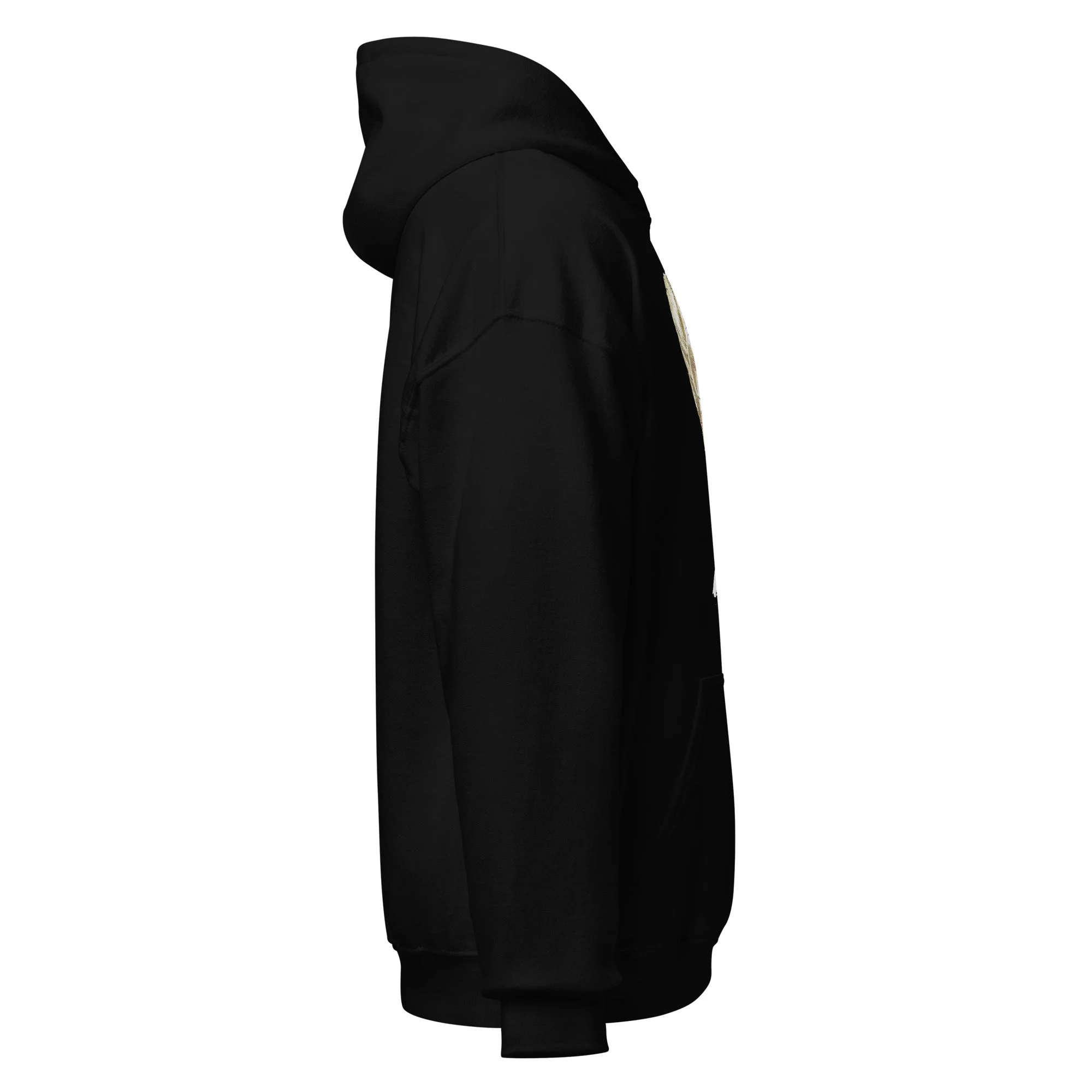 unisex-heavy-blend-hoodie-black-right-6abdb22517b44.jpg