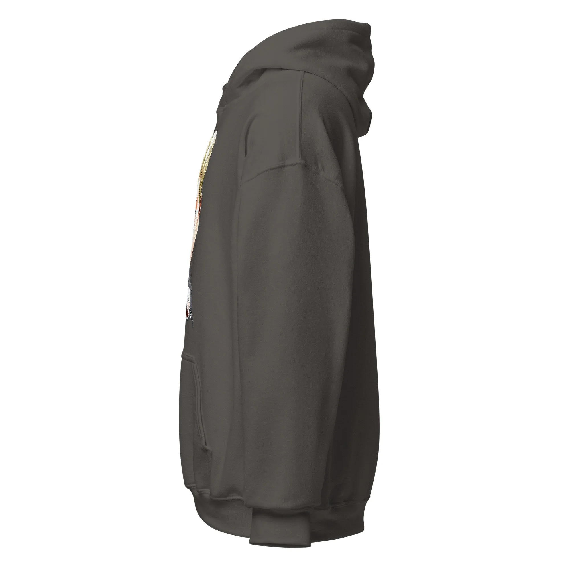 unisex-heavy-blend-hoodie-charcoal-left-6abdb225170eb.jpg