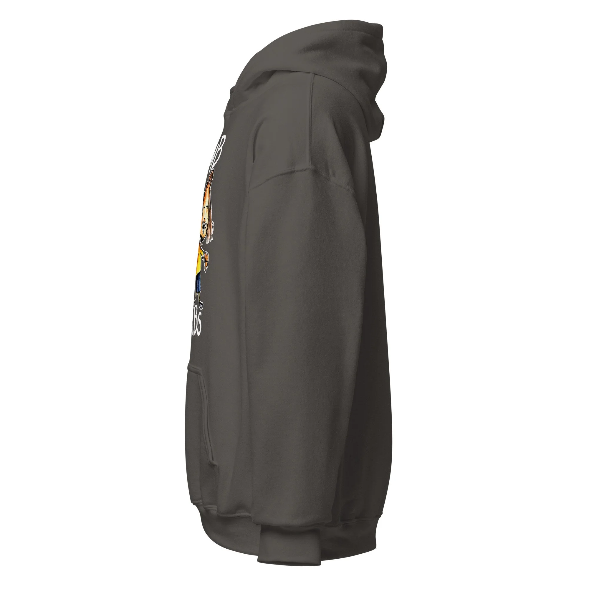 unisex-heavy-blend-hoodie-charcoal-left-6abdd64f76f48.jpg